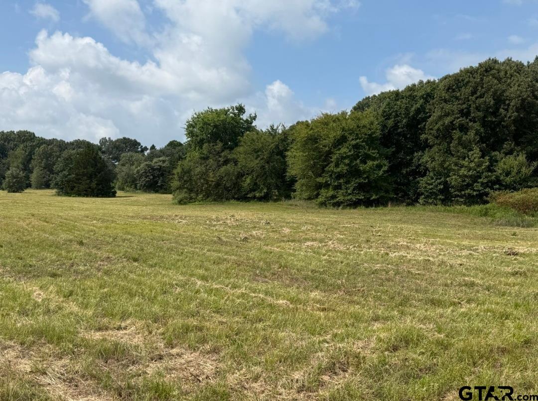 E Fm 431 Property Photo 7