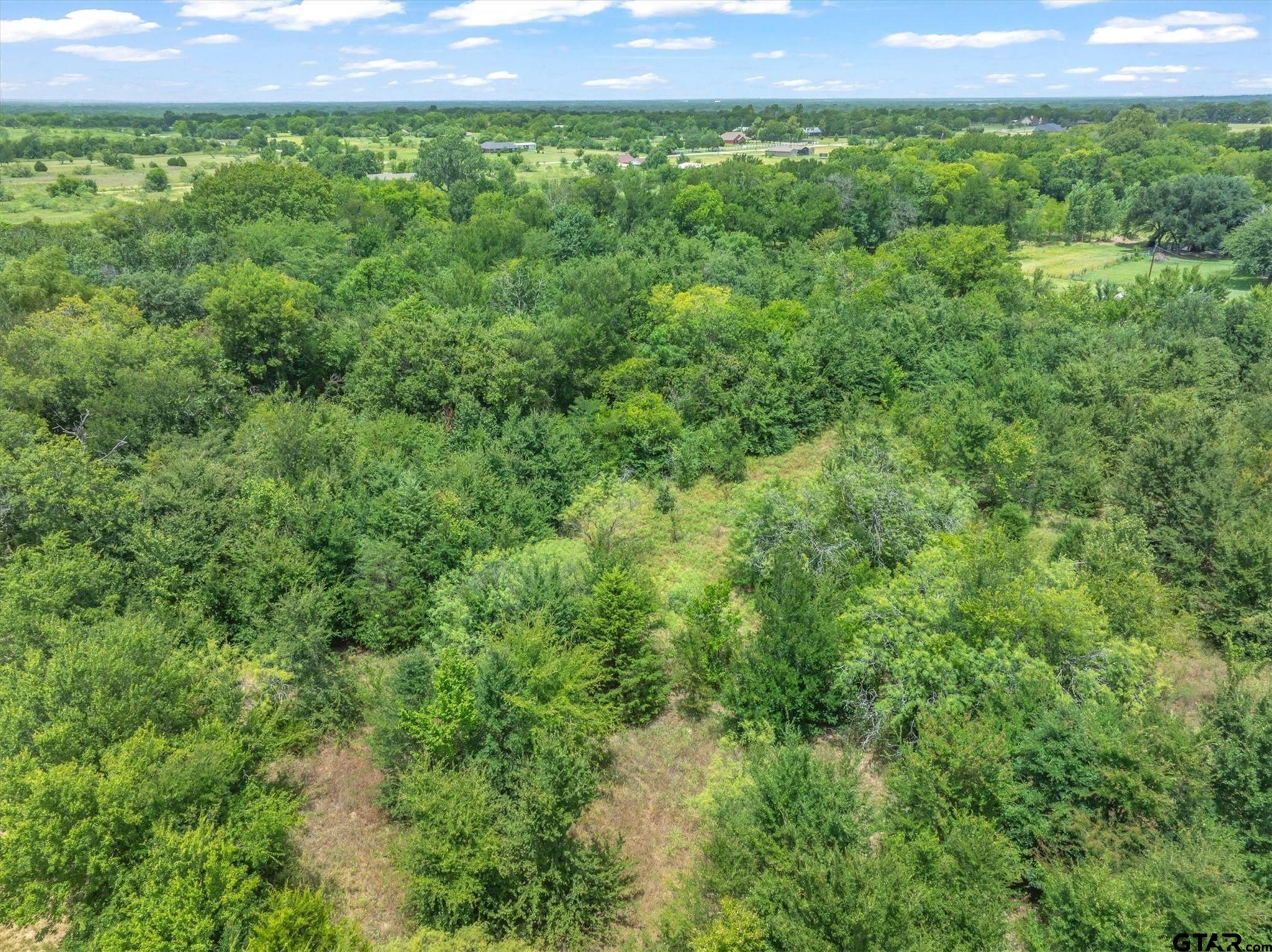 Lot 19 & 20 Fm 47 Property Photo 6