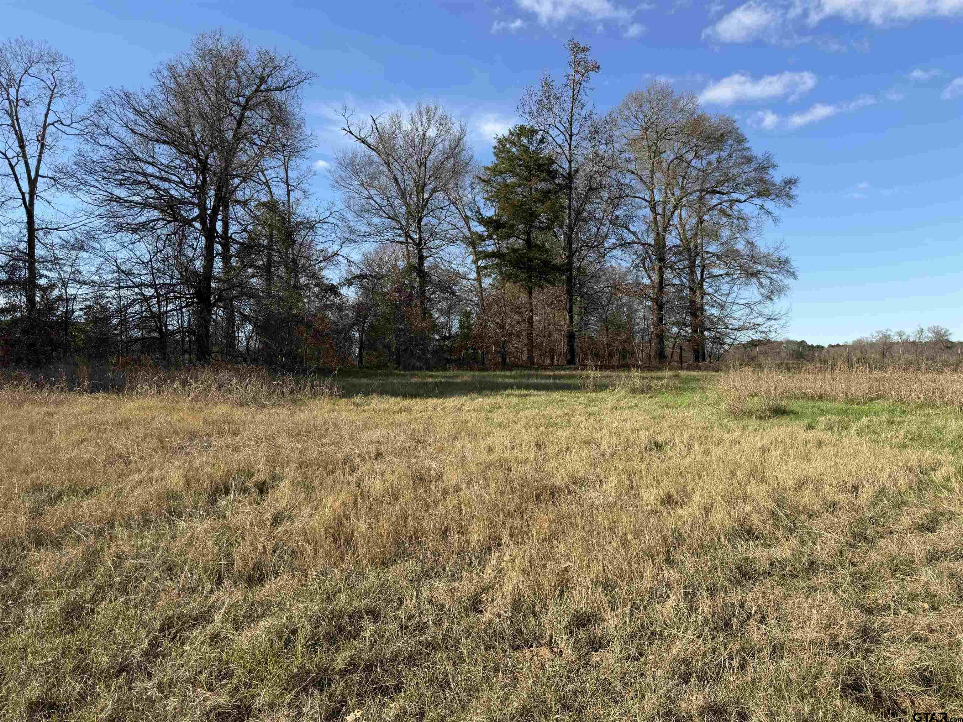 21348 Memory Lane Property Photo 3