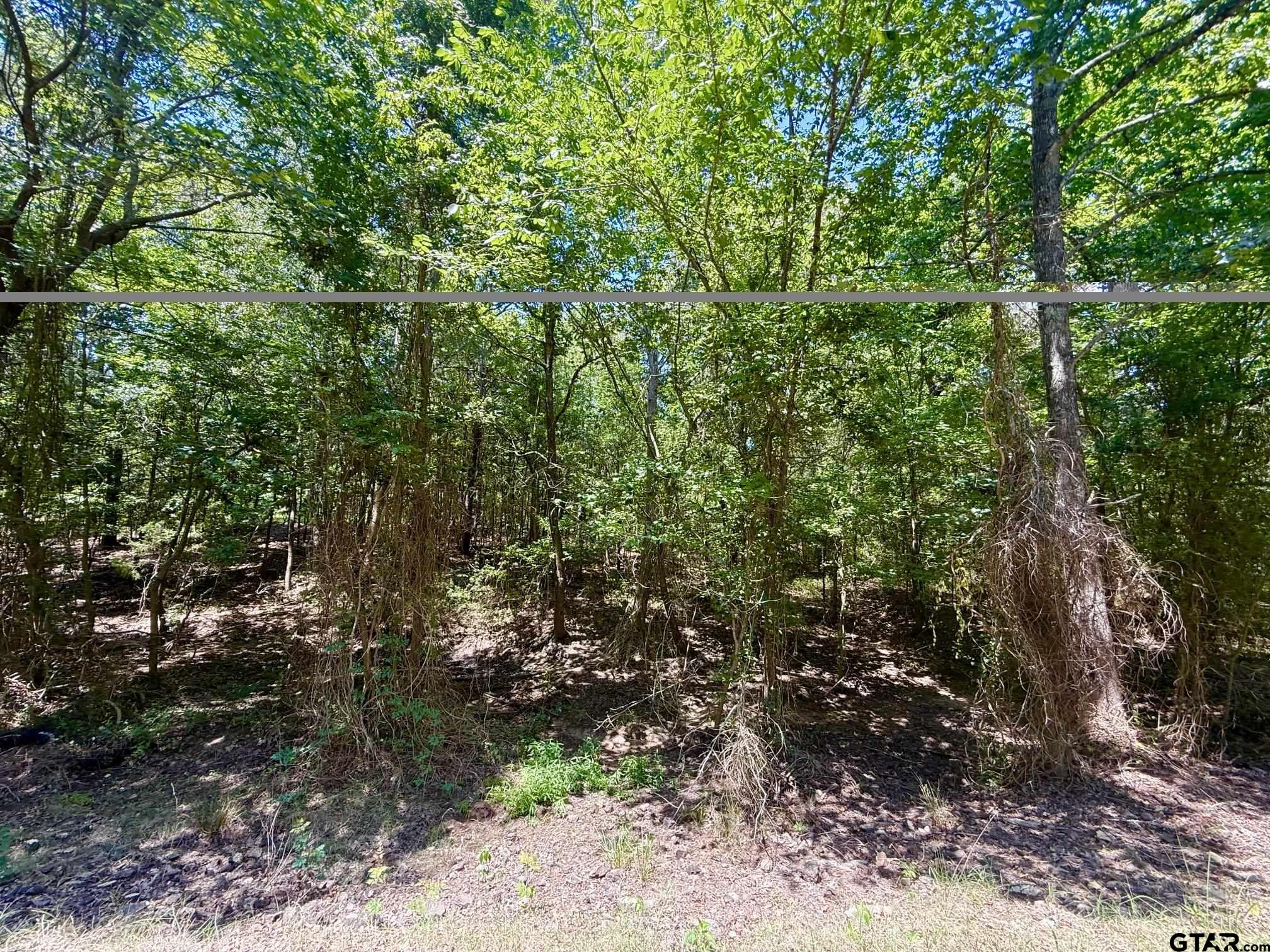 TBD CR 1755 Property Photo 1