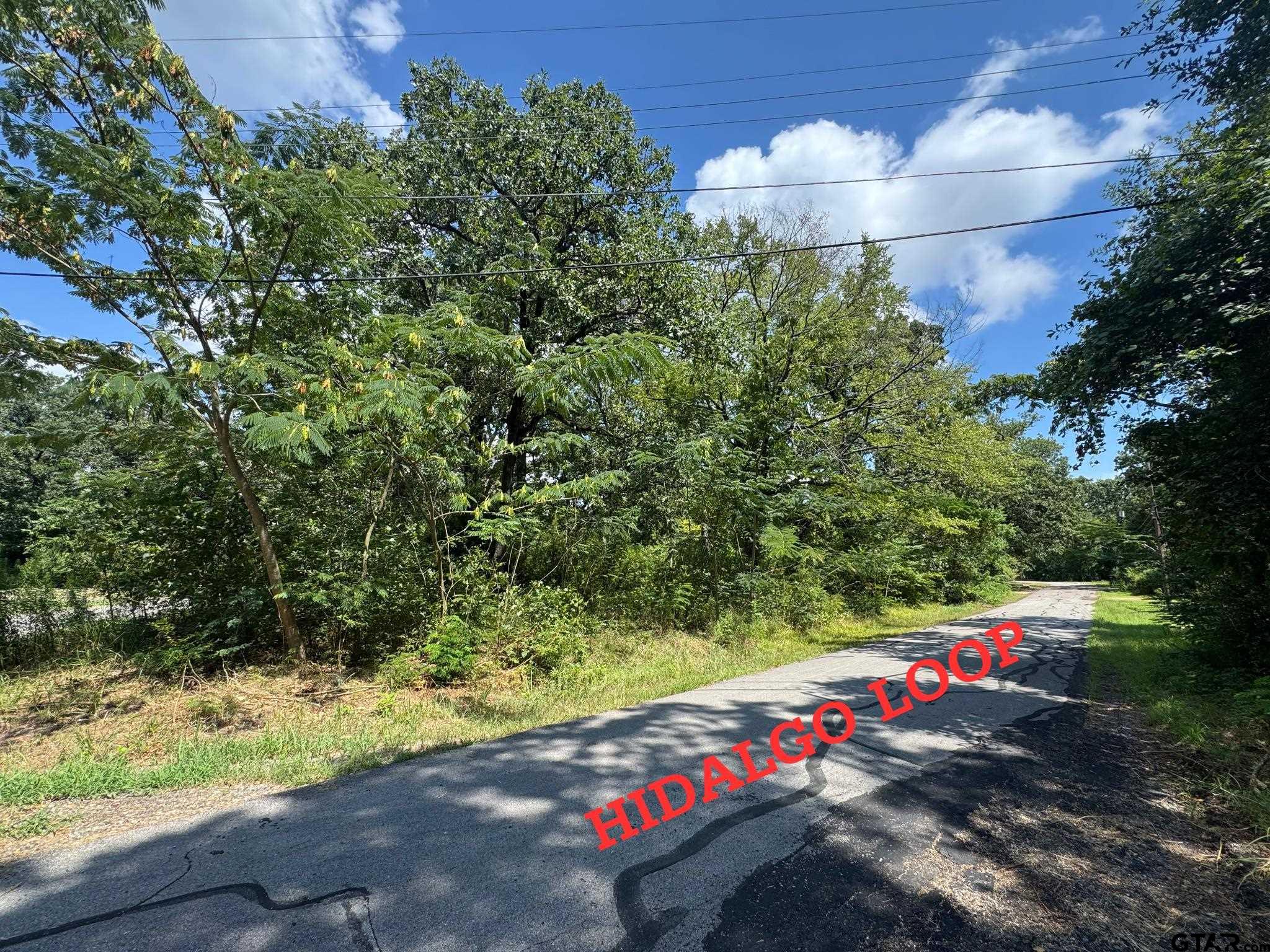 0 Hidalgo Loop Property Photo 1