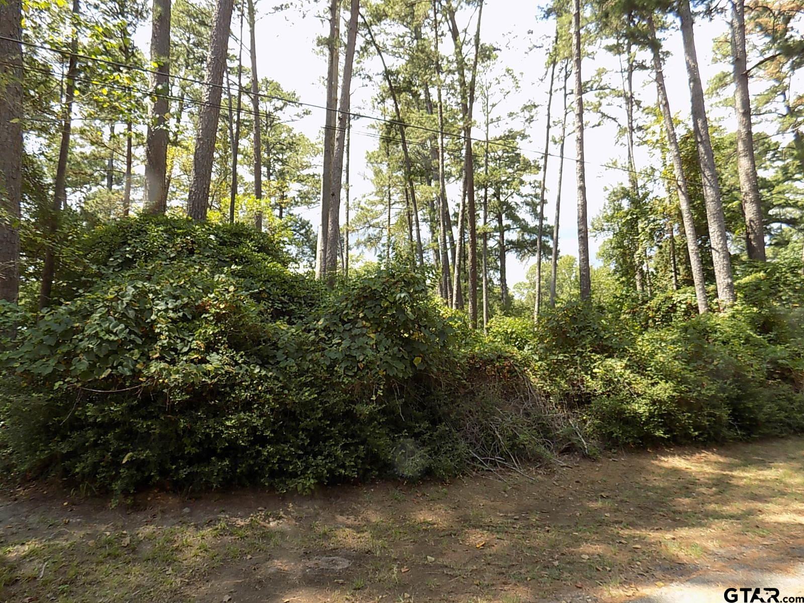 Bent Horseshoe Property Photo 1