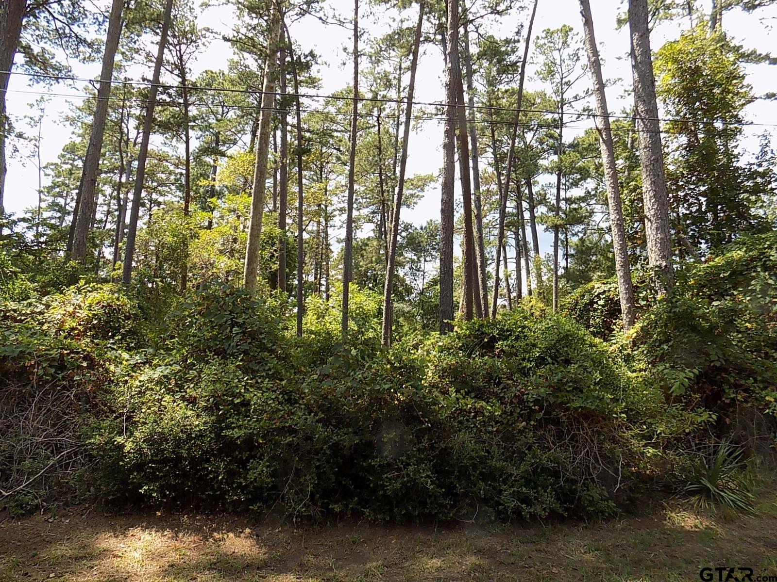 Bent Horseshoe Property Photo 2