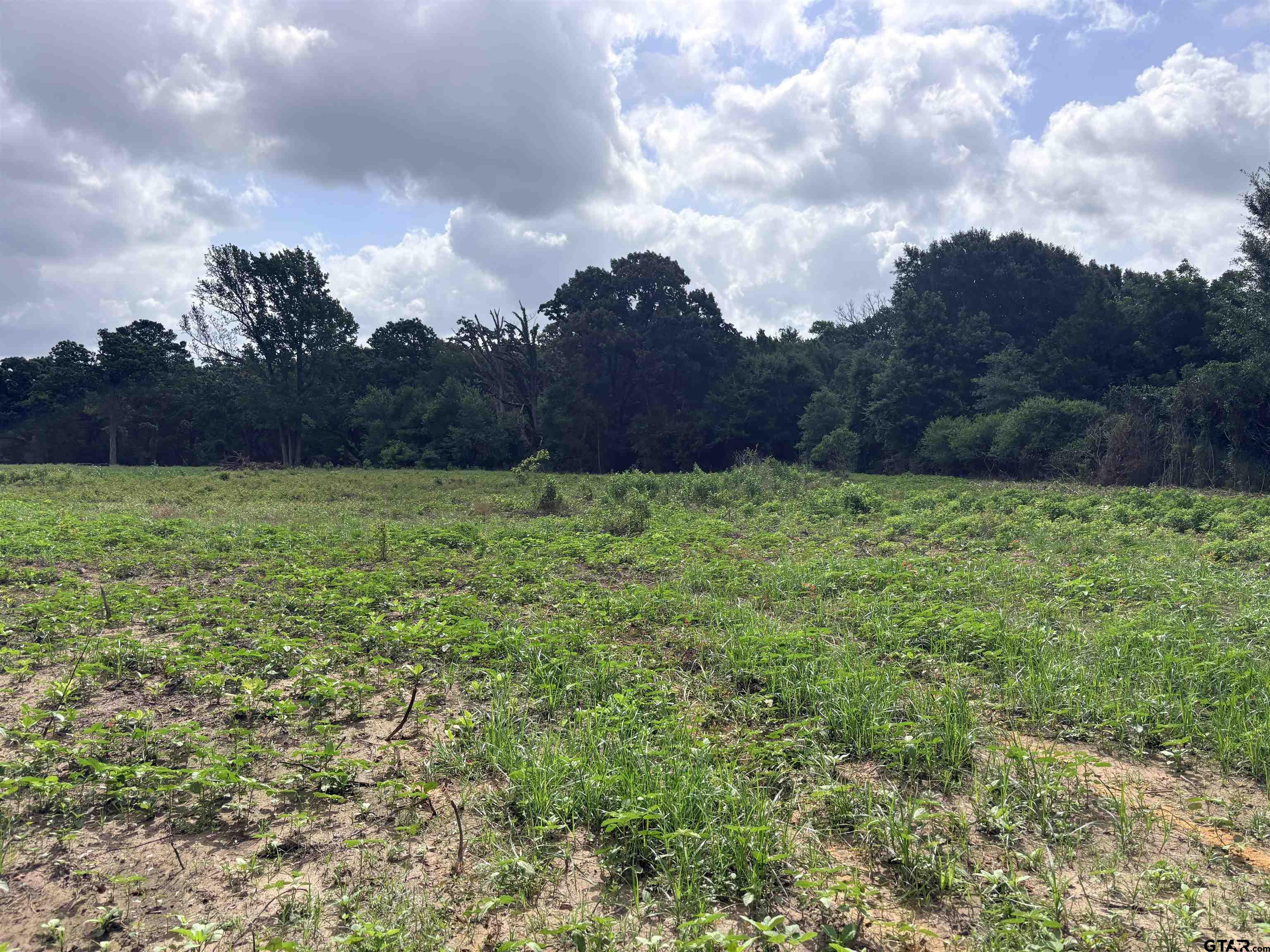 10268 N Fm 607 Property Photo 1