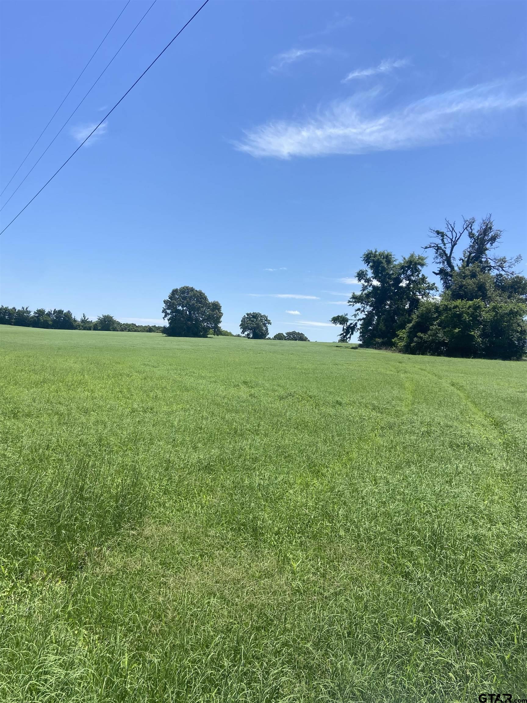 6109 Fm 2330 Property Photo 1