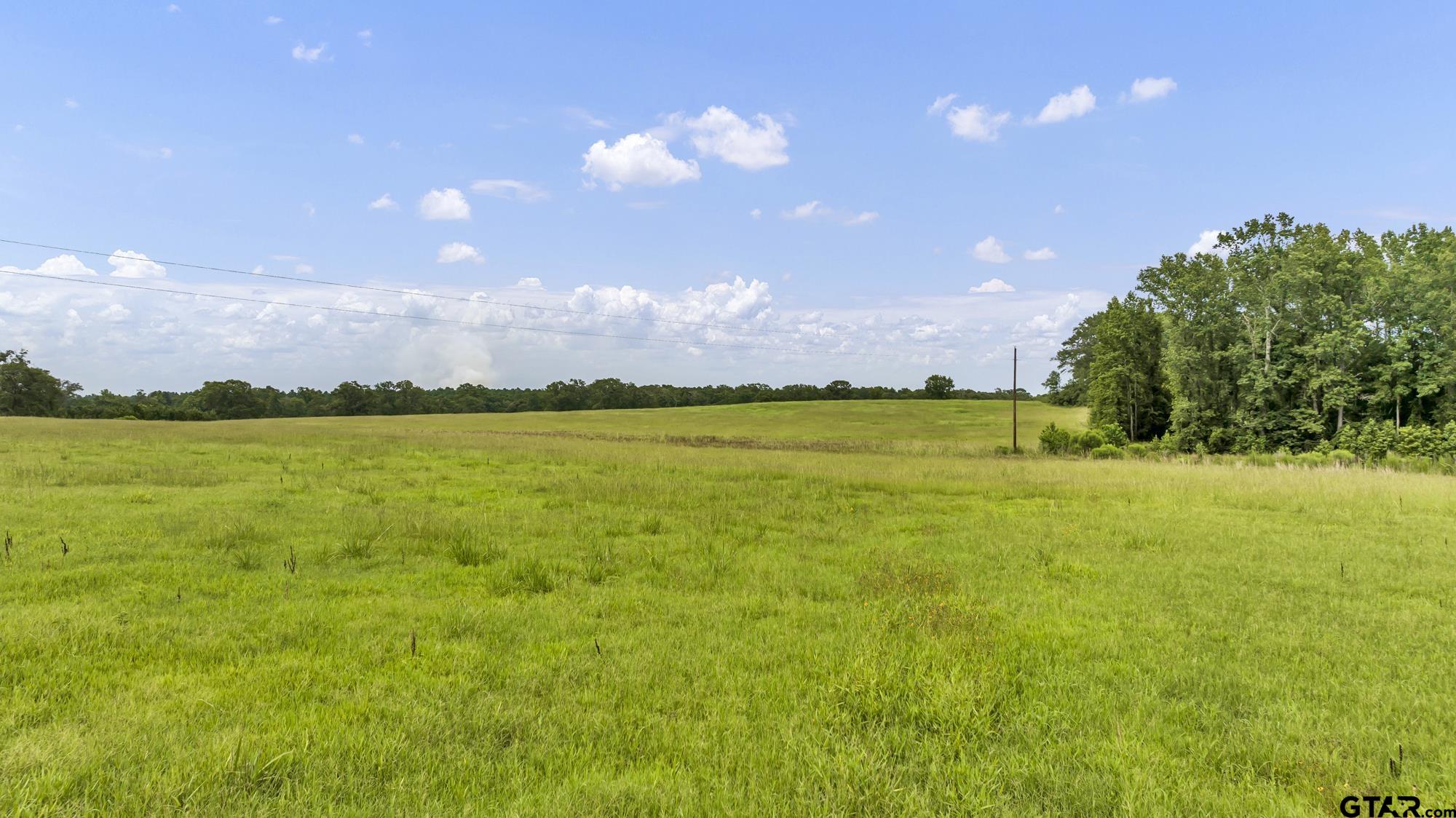 Tbd Cr 435 Property Photo 5