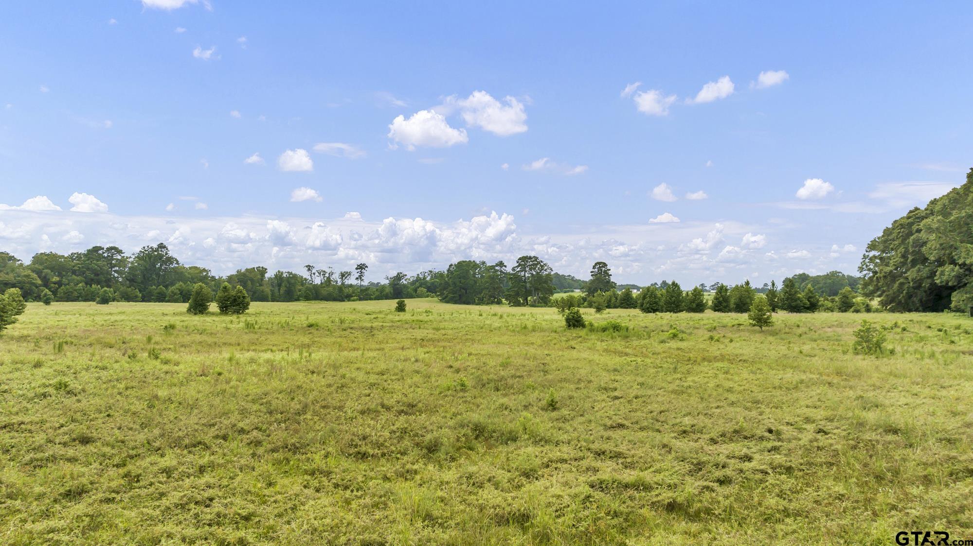 Tbd Cr 435 Property Photo 7