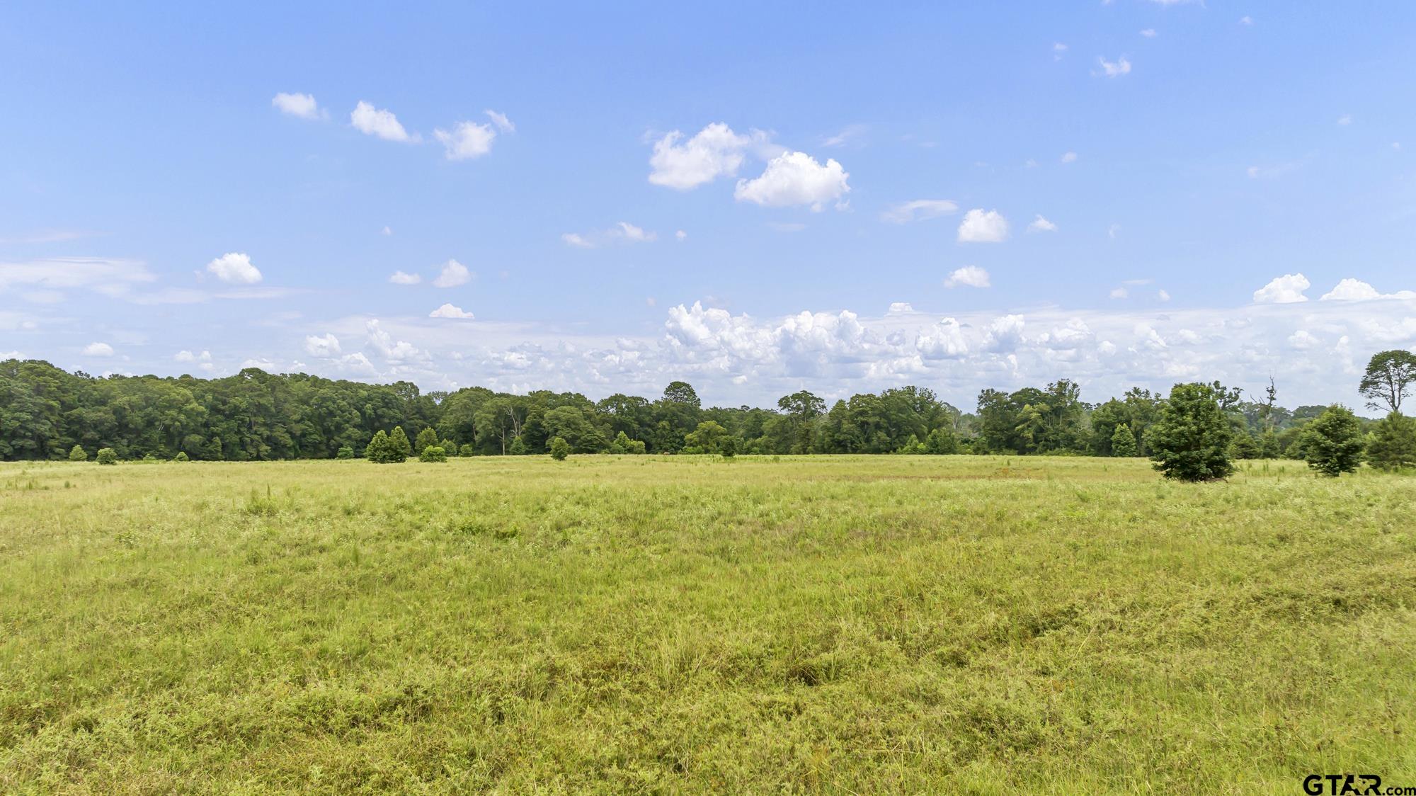 Tbd Cr 435 Property Photo 8