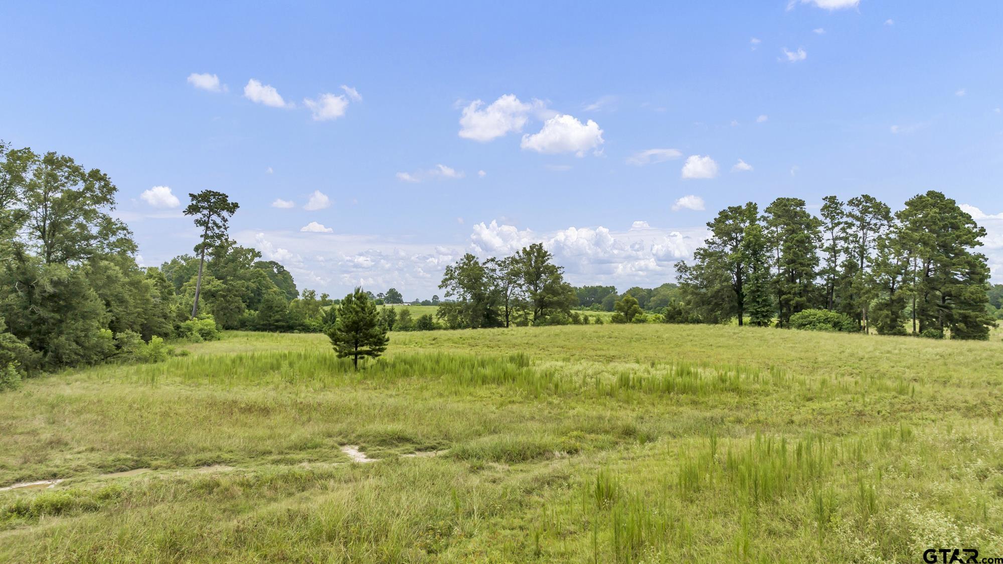 Tbd Cr 435 Property Photo 9