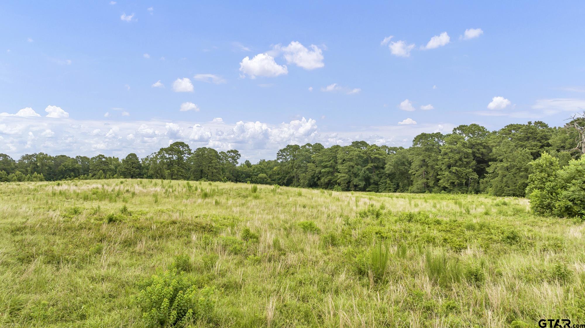 Tbd Cr 435 Property Photo 10