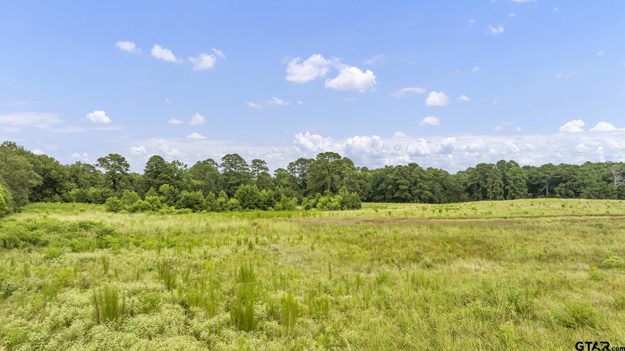 Tbd Cr 435 Property Photo 11