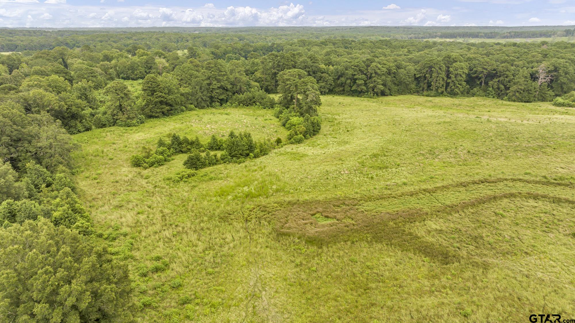 Tbd Cr 435 Property Photo 12