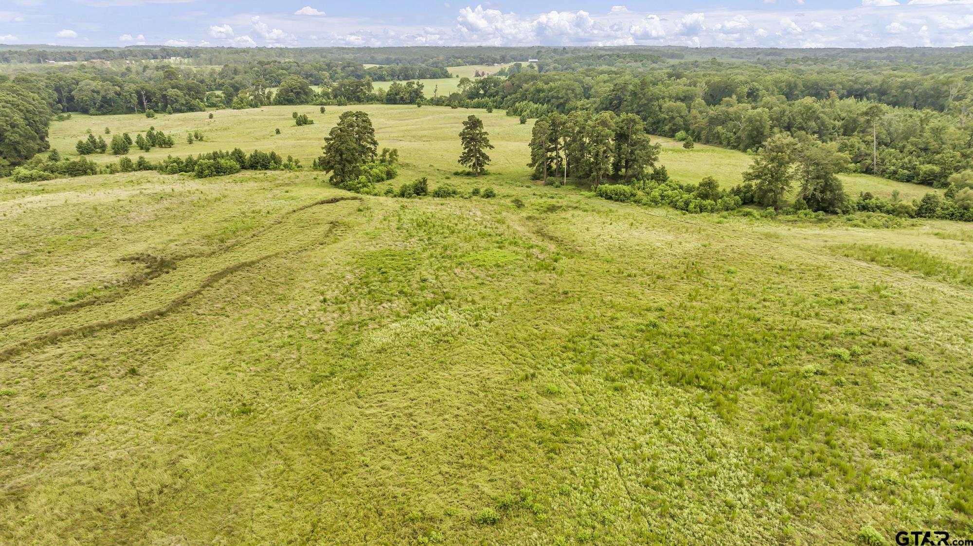 Tbd Cr 435 Property Photo 13