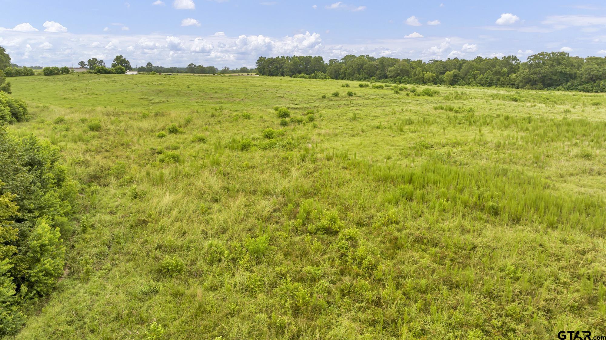 Tbd Cr 435 Property Photo 15