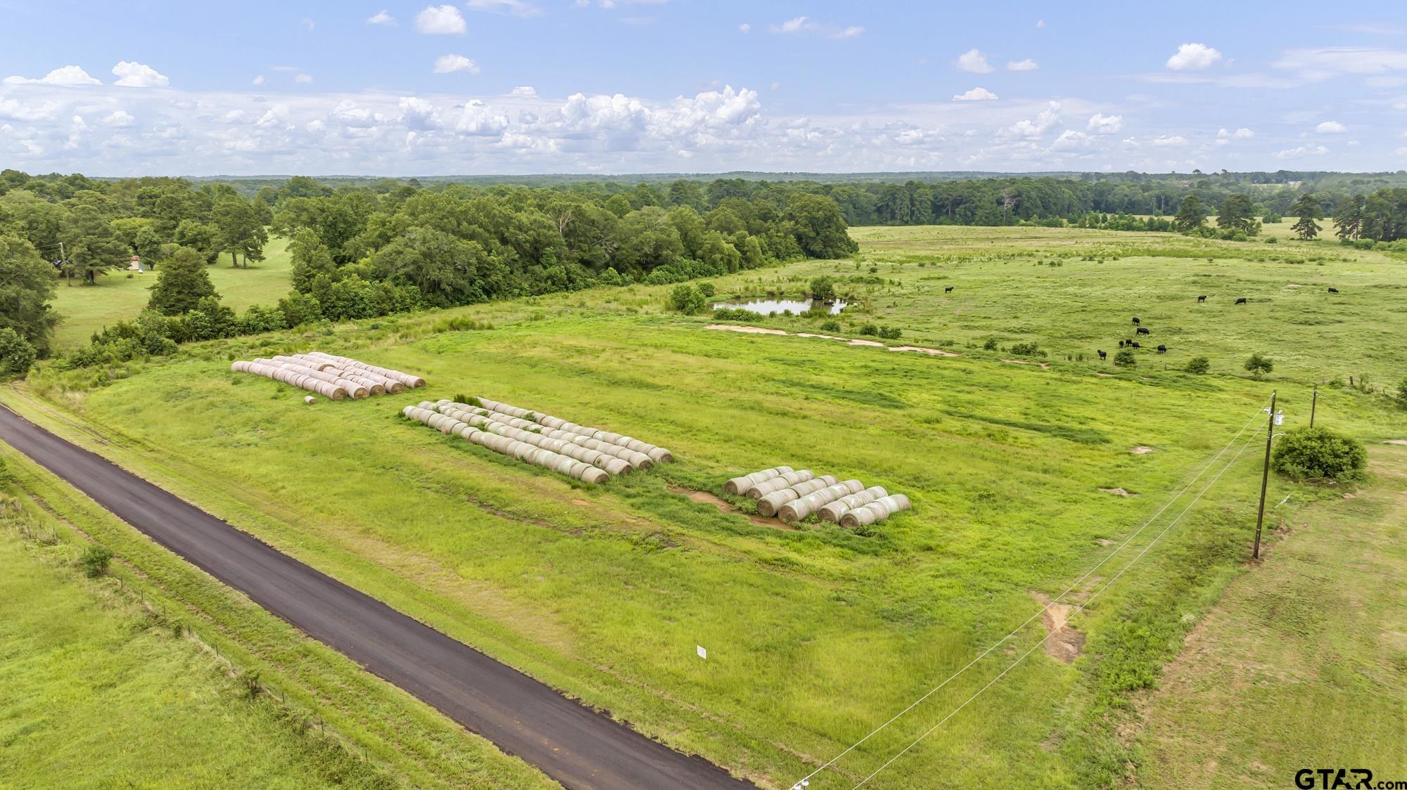 Tbd Cr 435 Property Photo 17