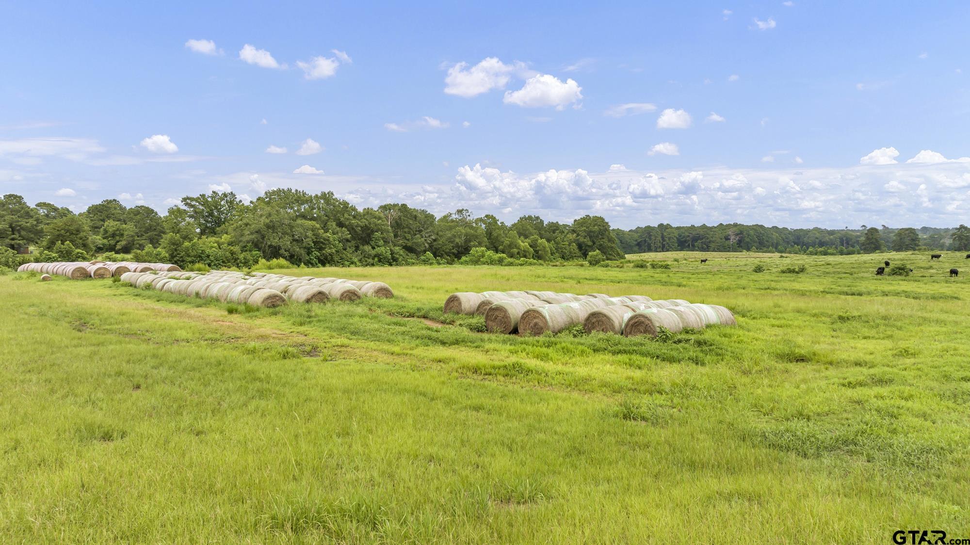 Tbd Cr 435 Property Photo 18