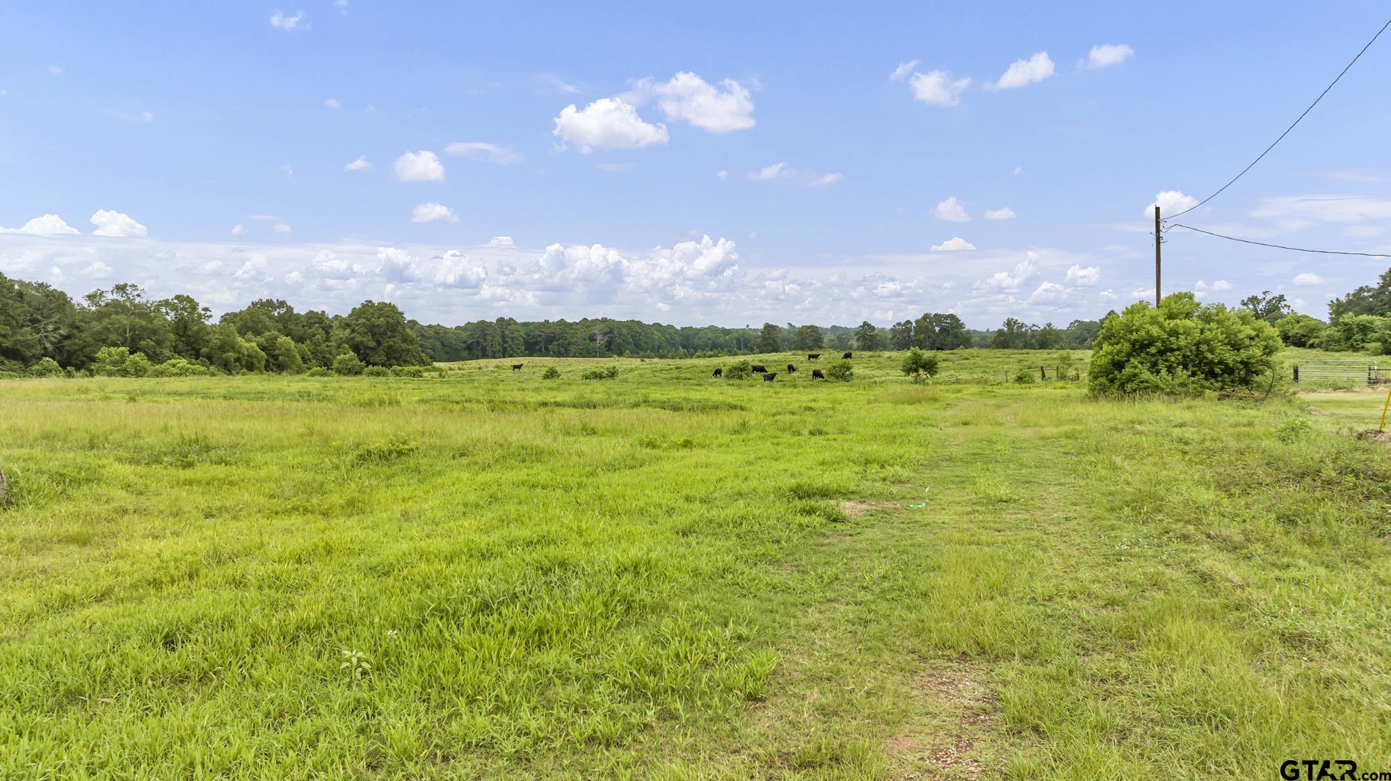 Tbd Cr 435 Property Photo 19