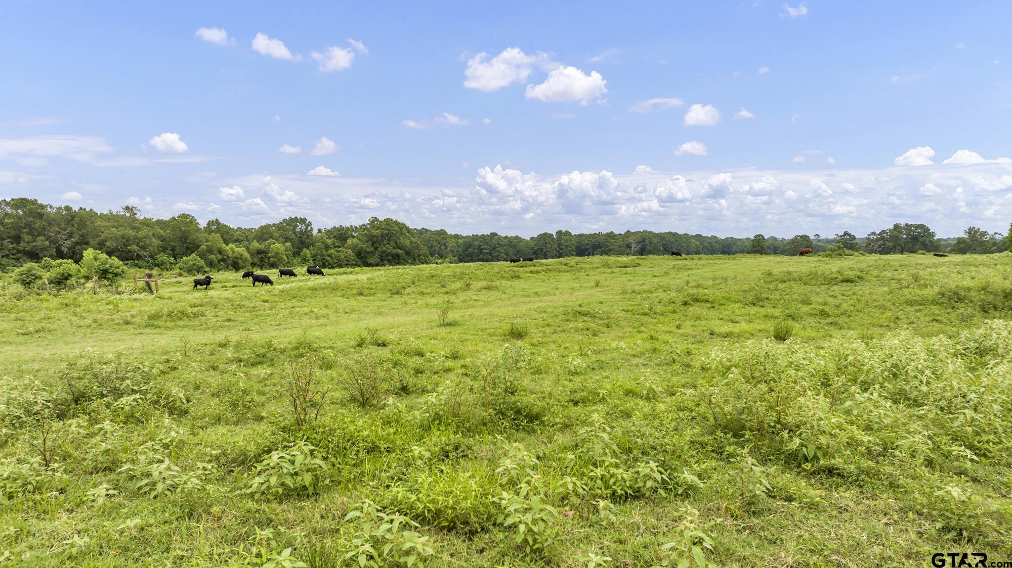 Tbd Cr 435 Property Photo 21