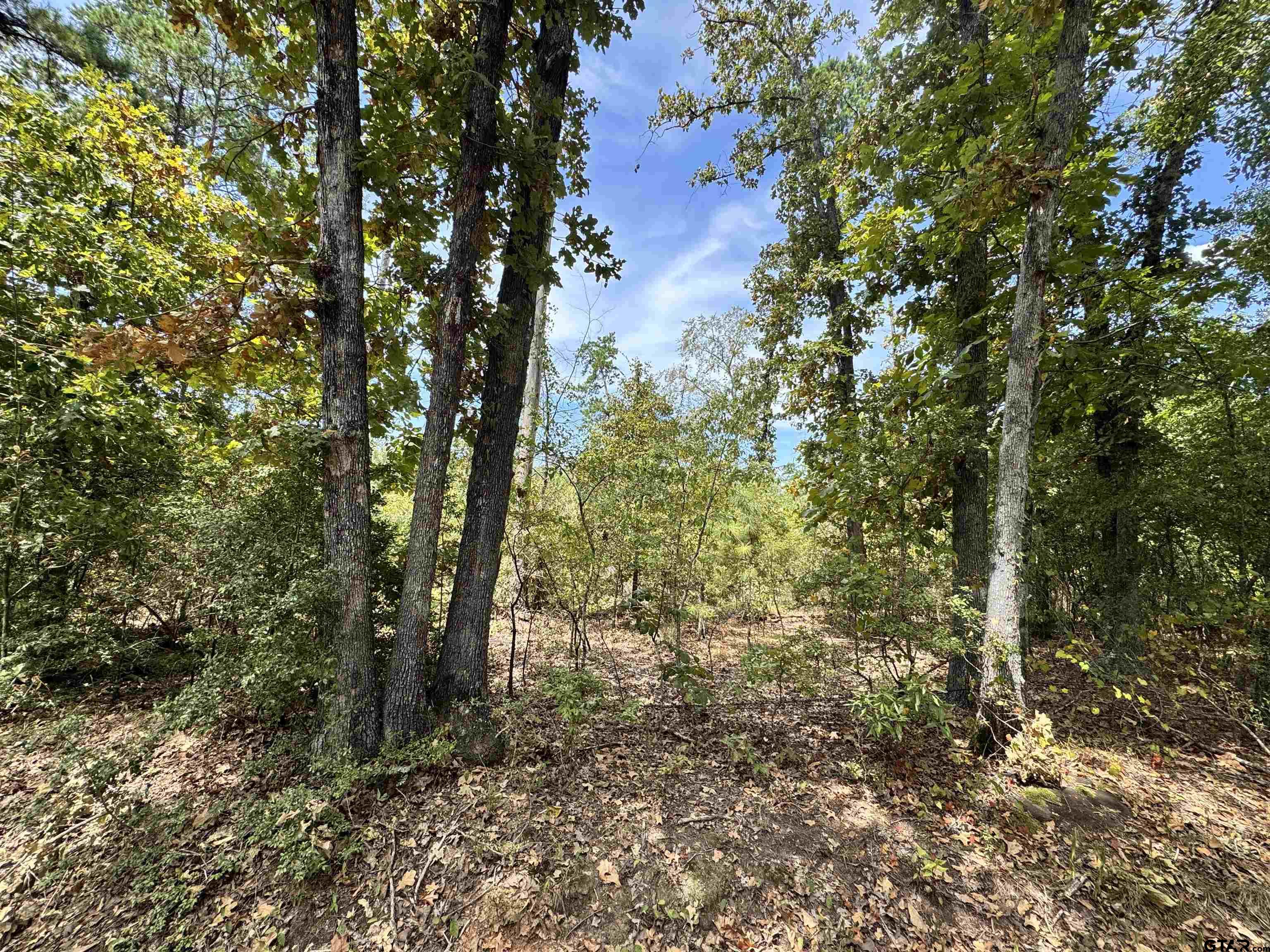 Tbd Cr 222 Property Photo 1