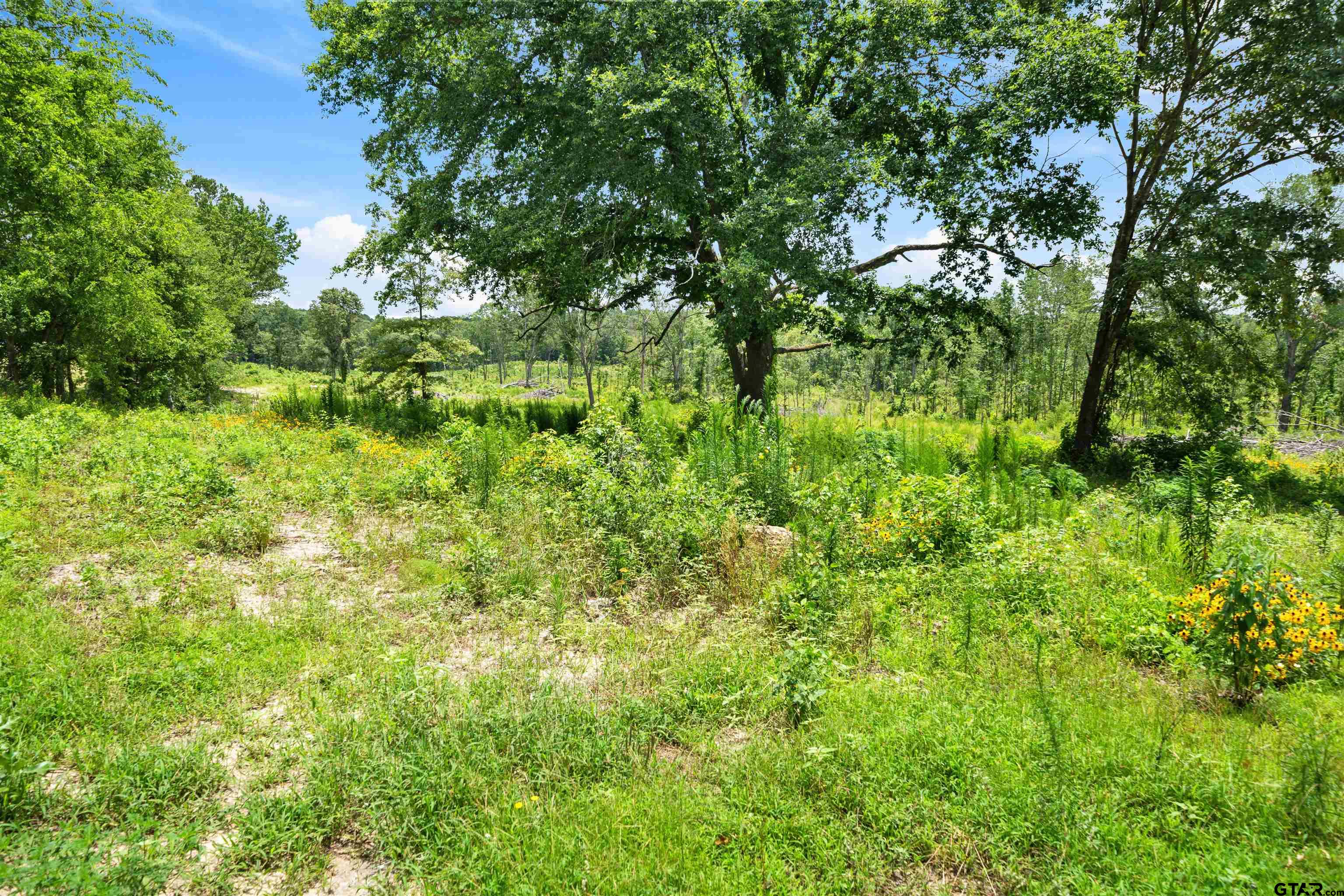 Tbd Highway 31 E Property Photo 3
