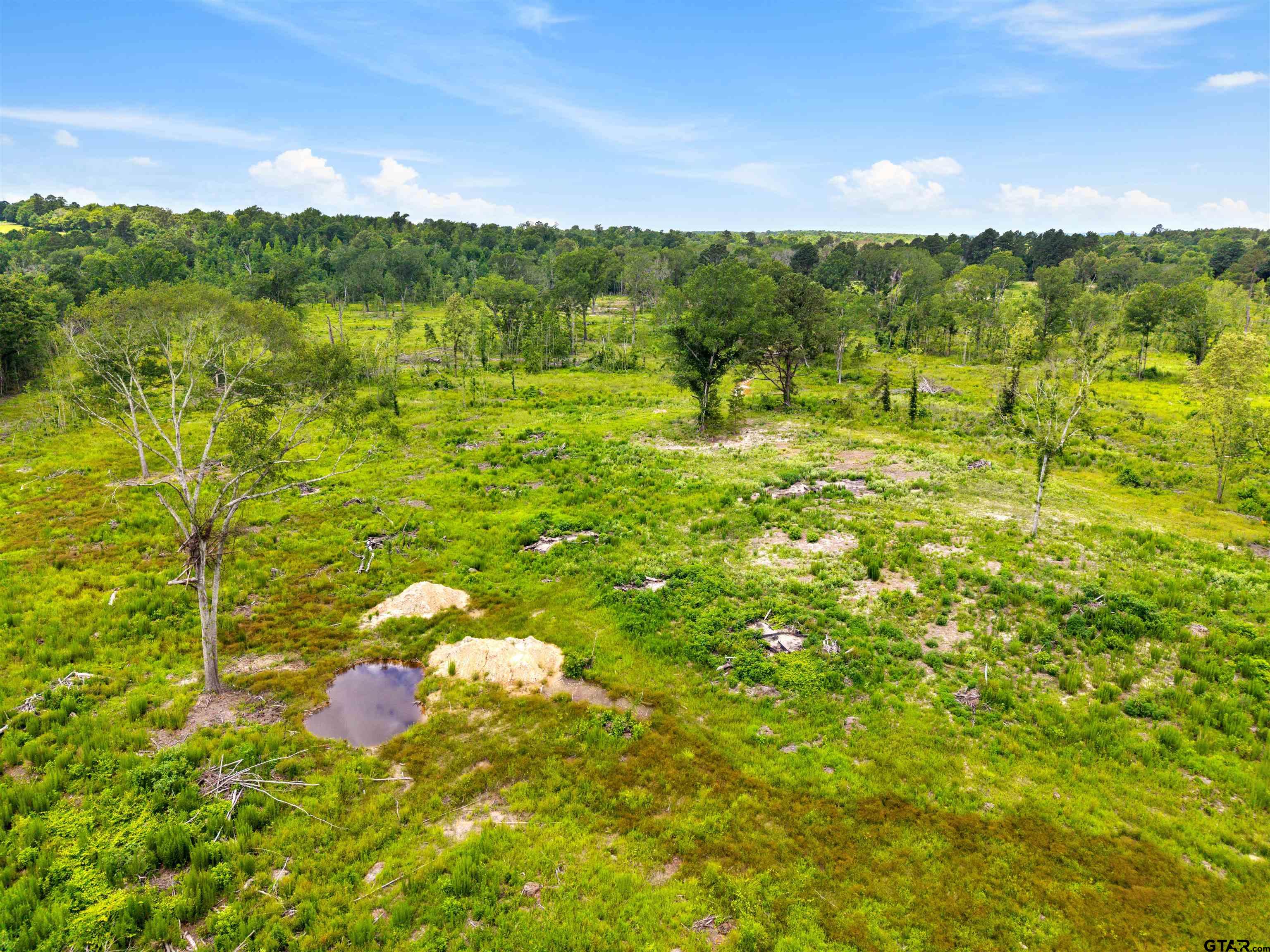 Tbd Highway 31 E Property Photo 6