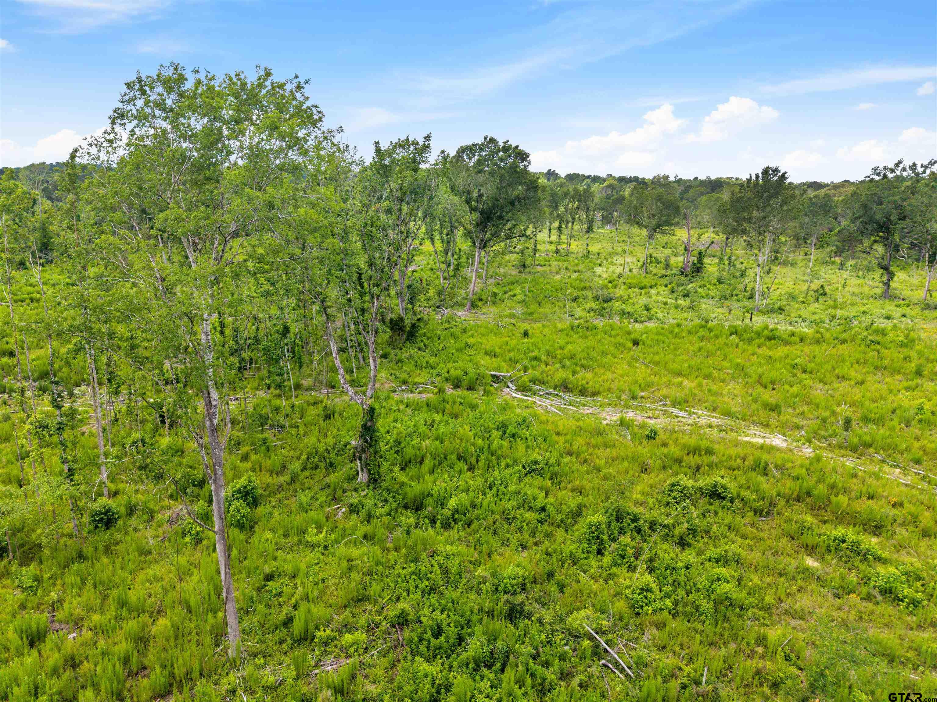 Tbd Highway 31 E Property Photo 8