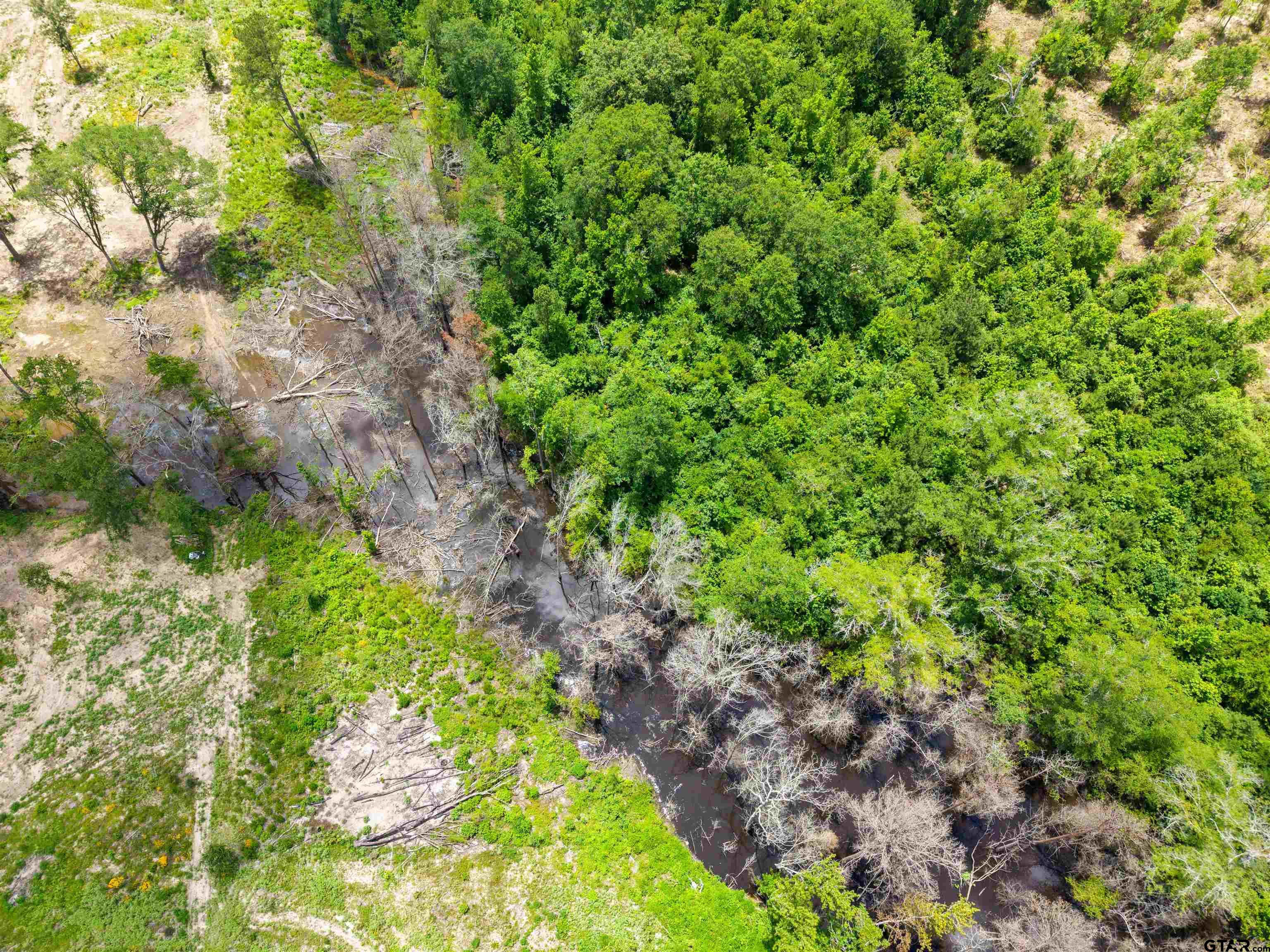 Tbd Highway 31 E Property Photo 10
