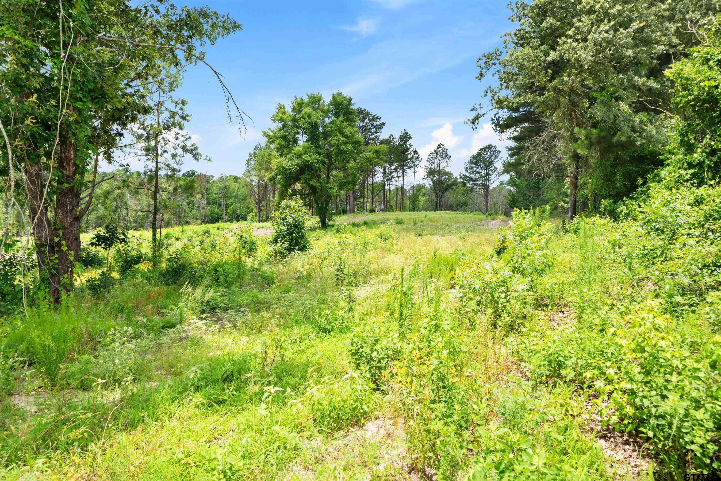 Tbd Highway 31 E Property Photo 13