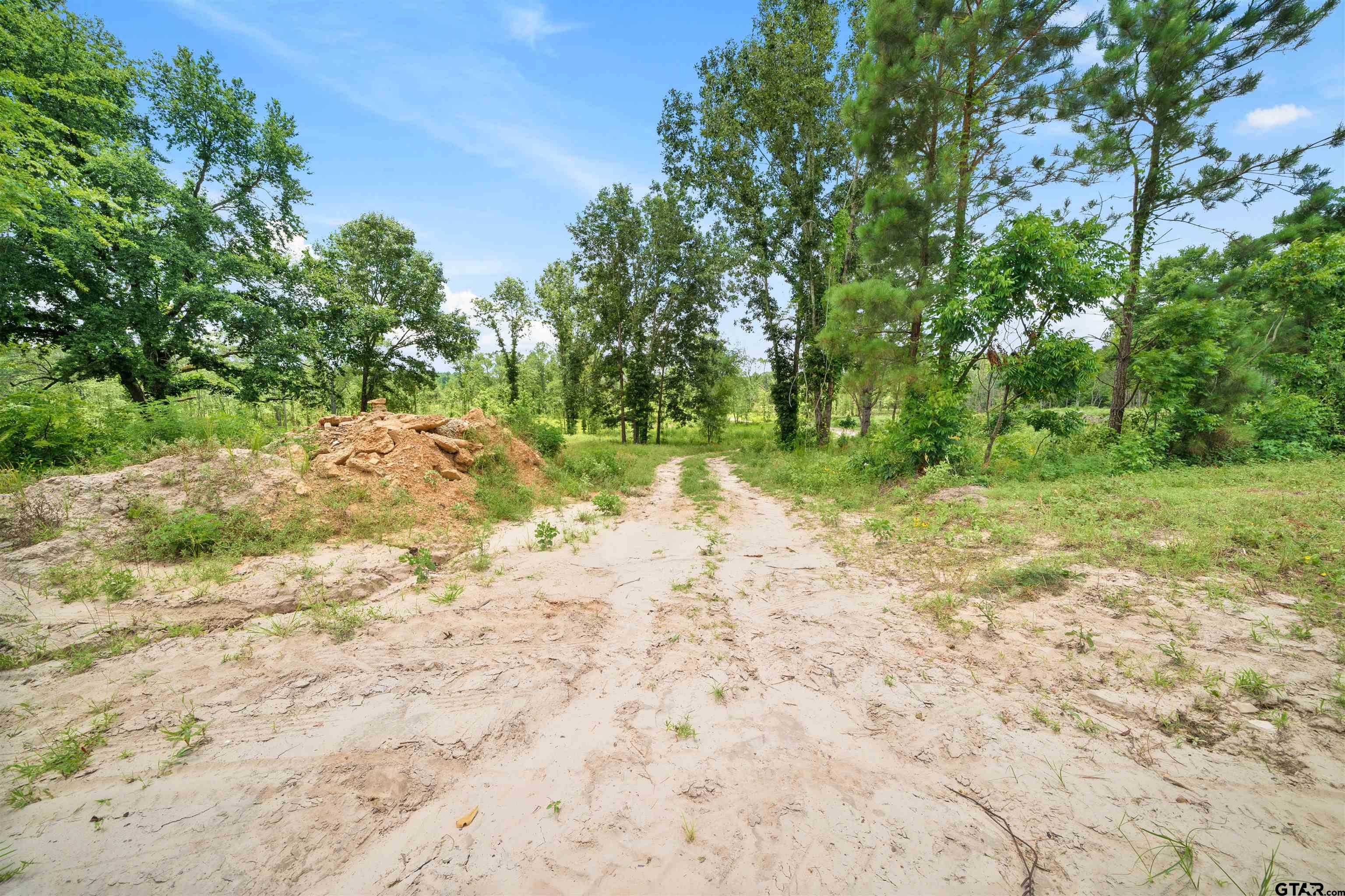 Tbd Highway 31 E Property Photo 14