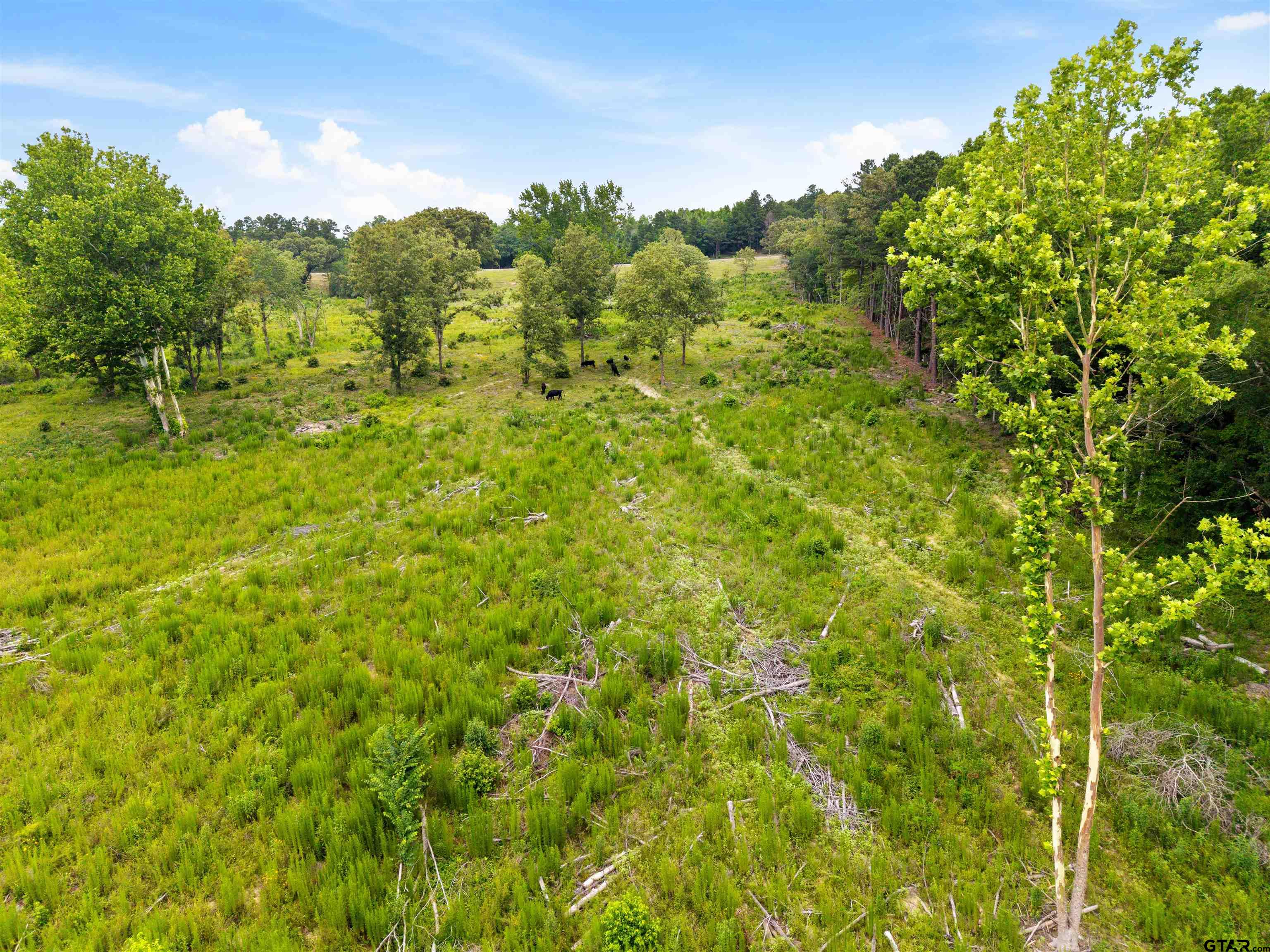 Tbd Highway 31 E Property Photo 15