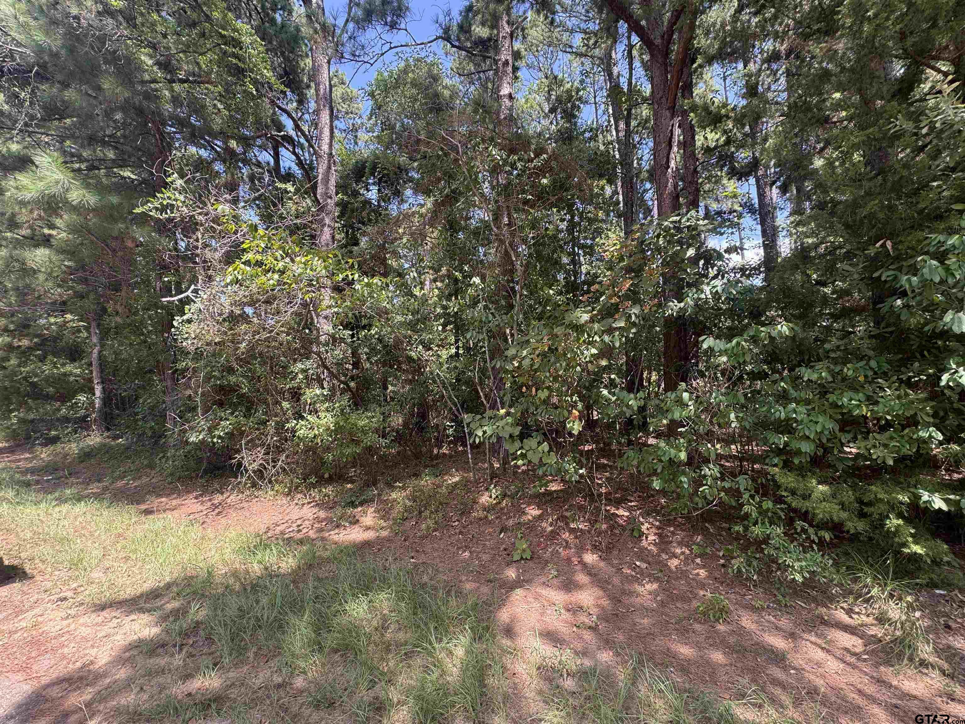 352 Neches Dr Property Photo 1