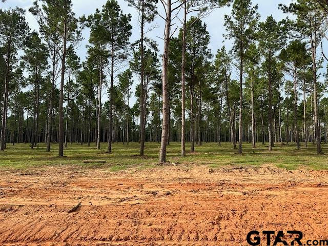 Lot 52 Oak River Property Photo 1