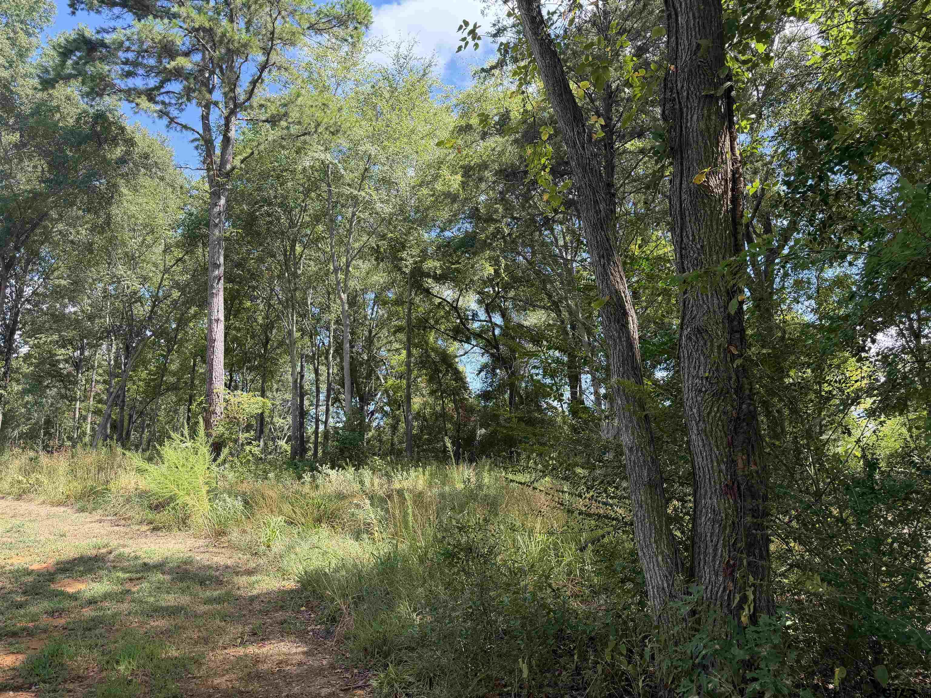 13929 Cr 294 Property Photo 1