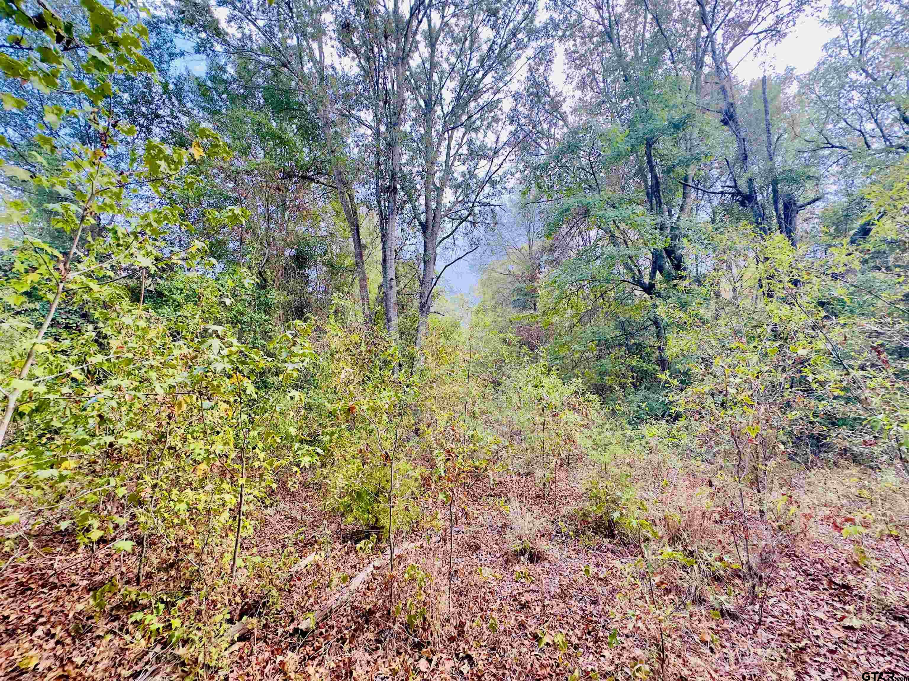 0000 Apple Tree Rd