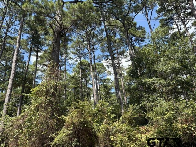 19317 N. State Highway 110 Property Photo 1