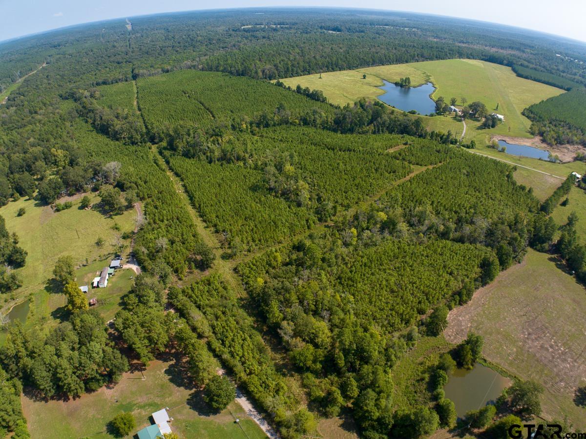 Tbd Lightfoot Road Property Photo 1