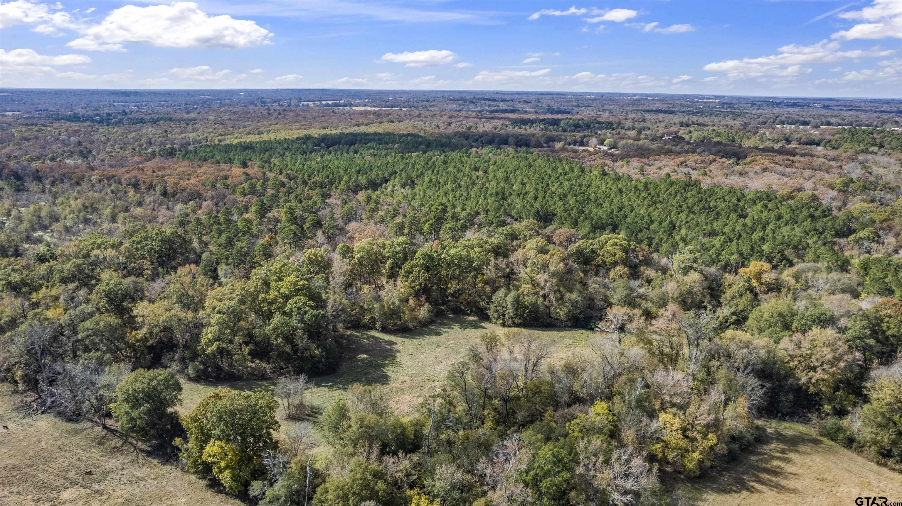 Tbd Cr 3170 Property Photo 1