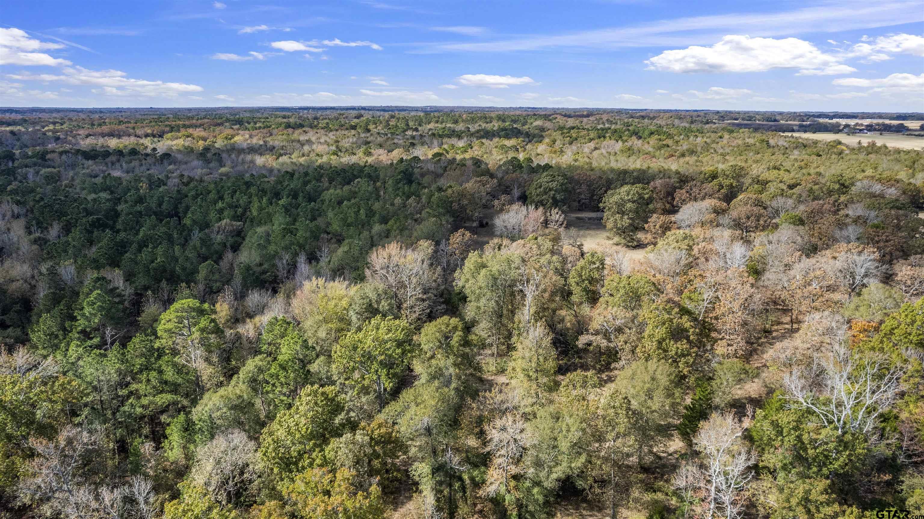 Tbd Cr 3170 Property Photo 2