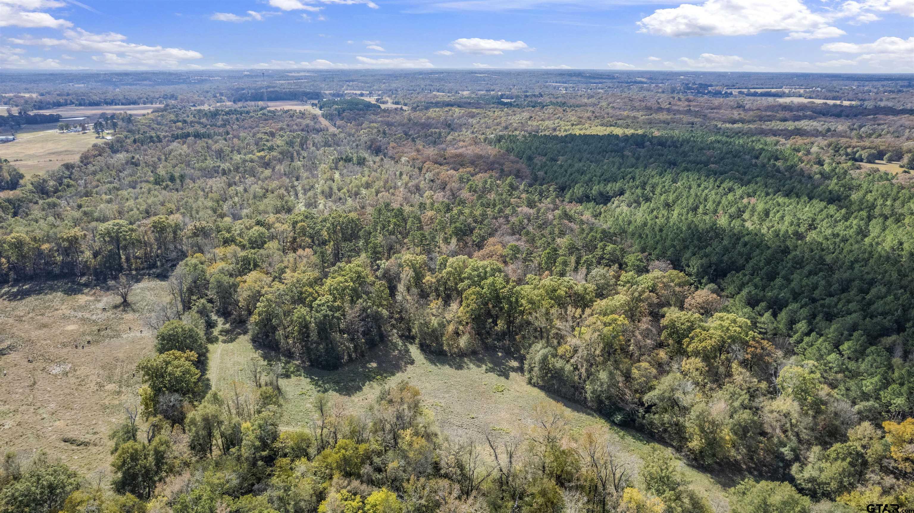 Tbd Cr 3170 Property Photo 6