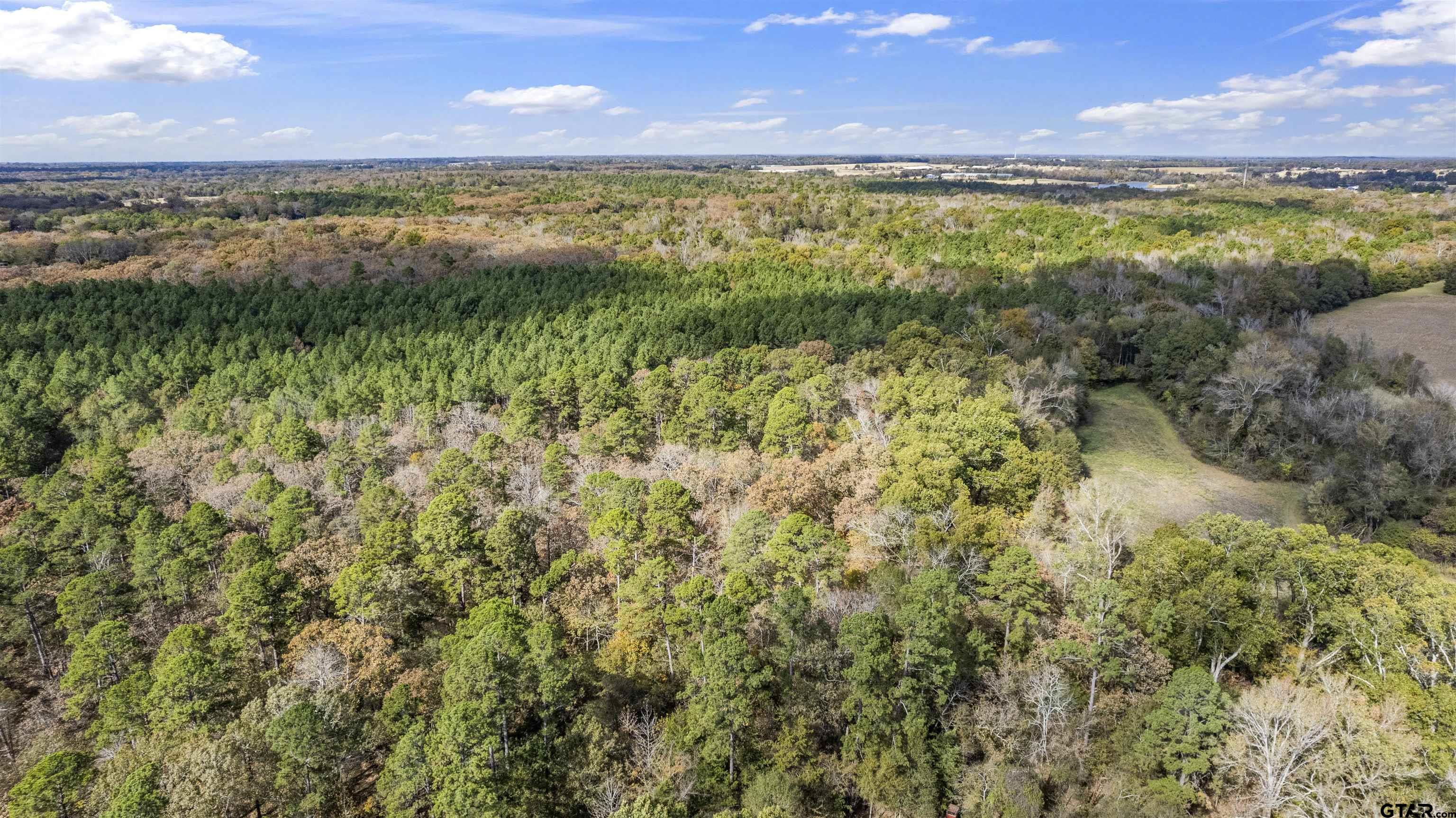 Tbd Cr 3170 Property Photo 7