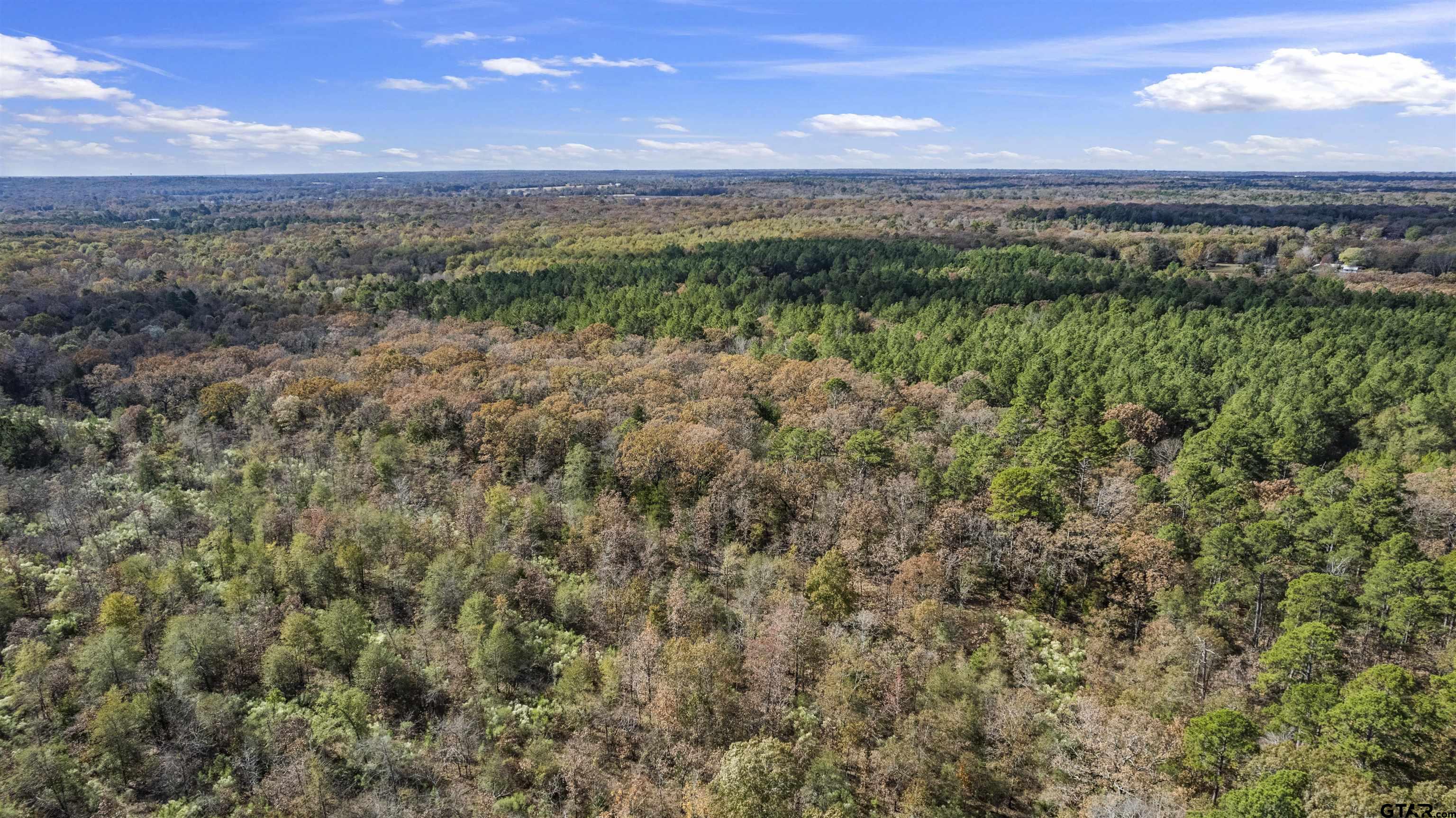 Tbd Cr 3170 Property Photo 8