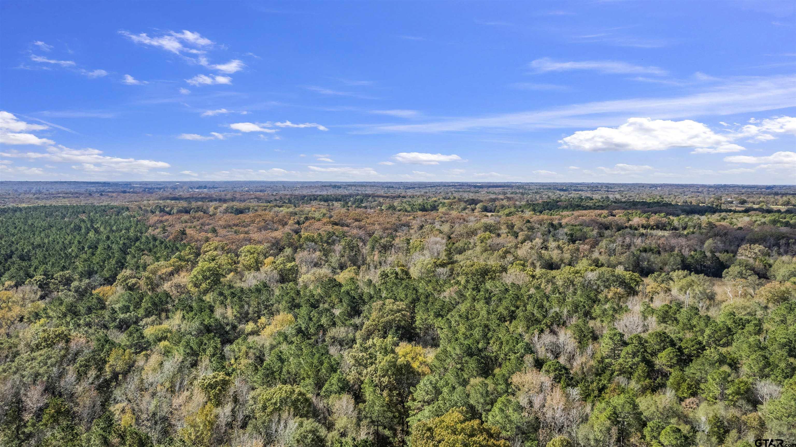 Tbd Cr 3170 Property Photo 10