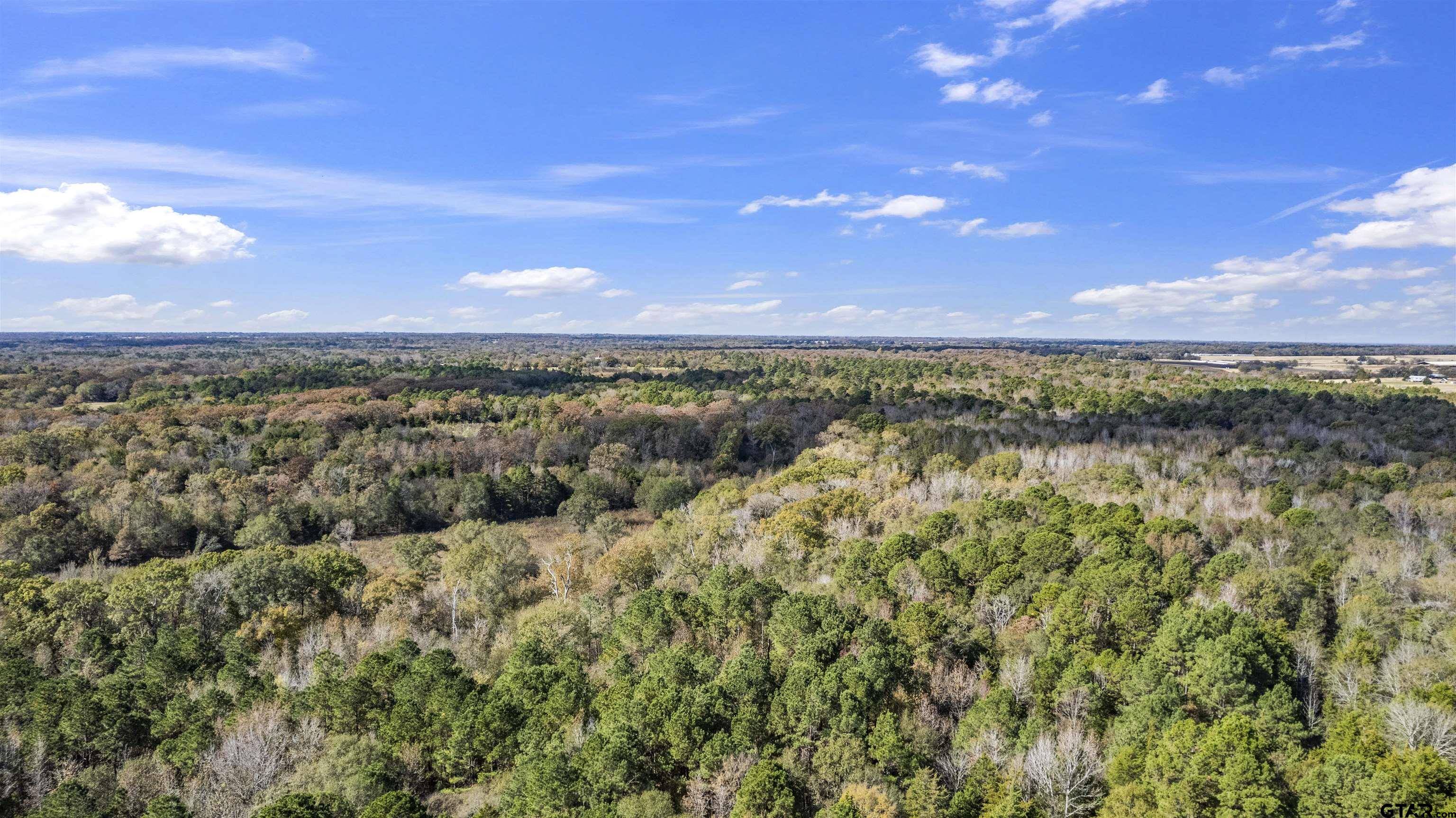 Tbd Cr 3170 Property Photo 11
