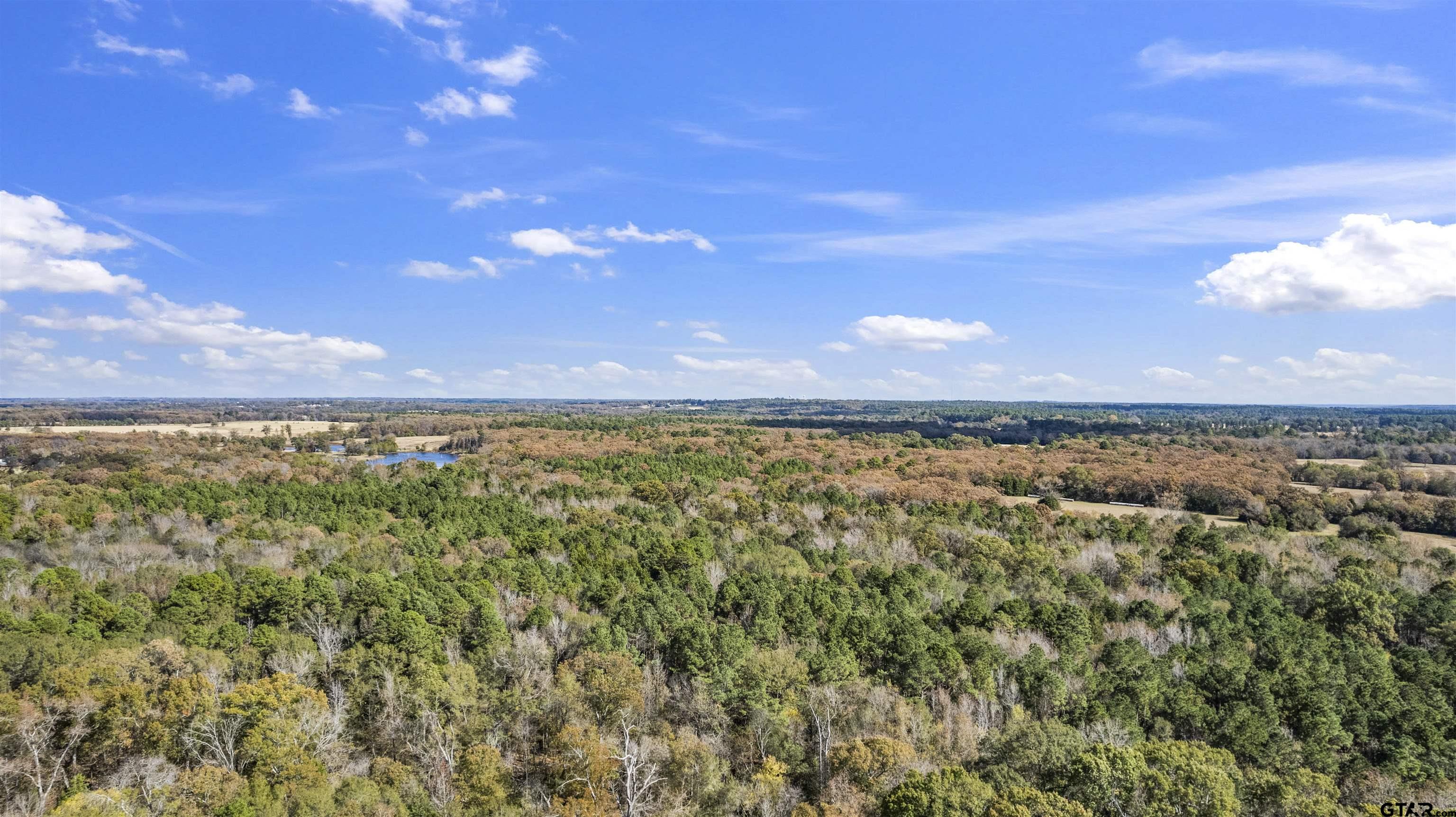 Tbd Cr 3170 Property Photo 12