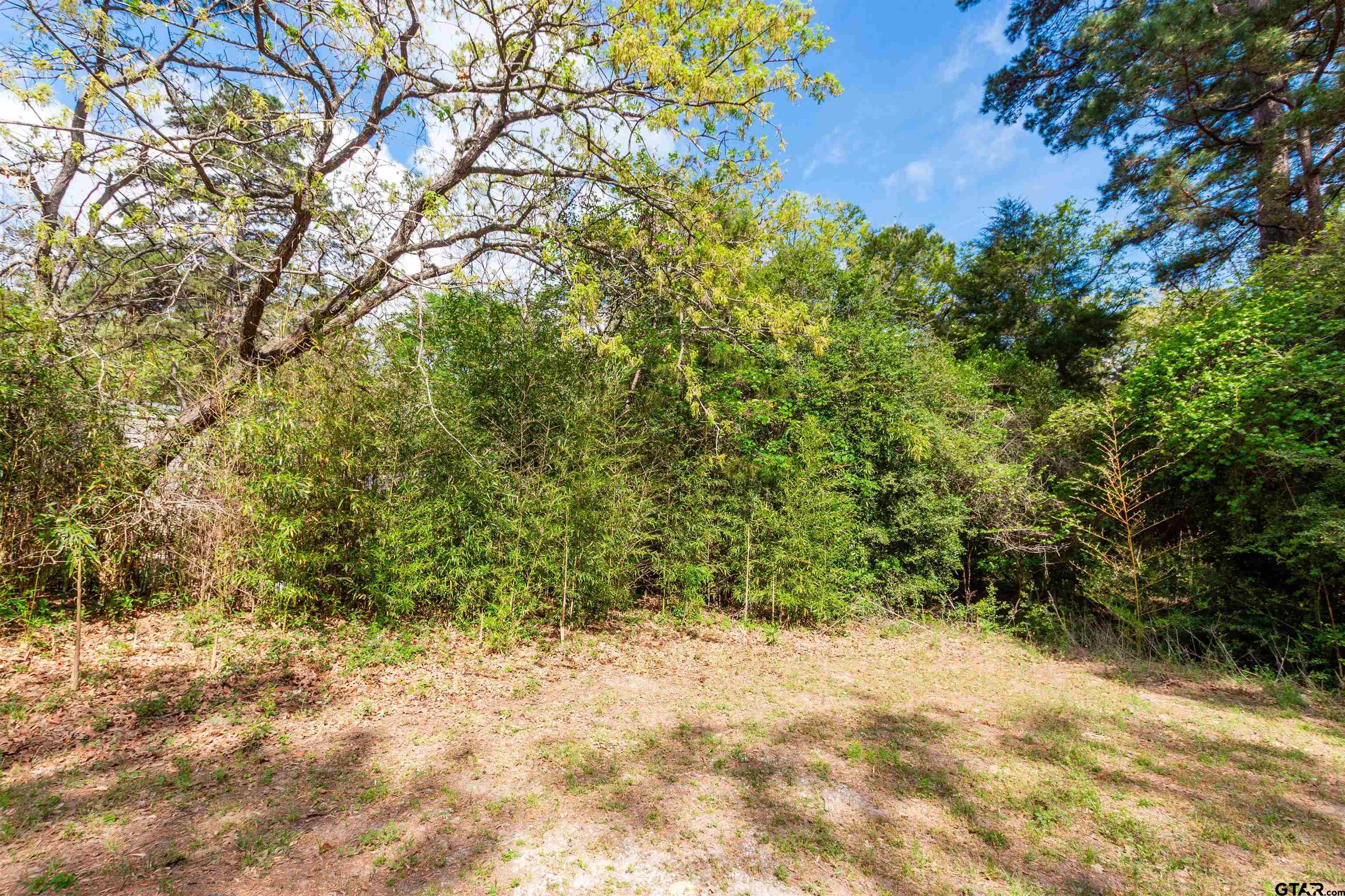 101 Westway Dr Property Photo 5