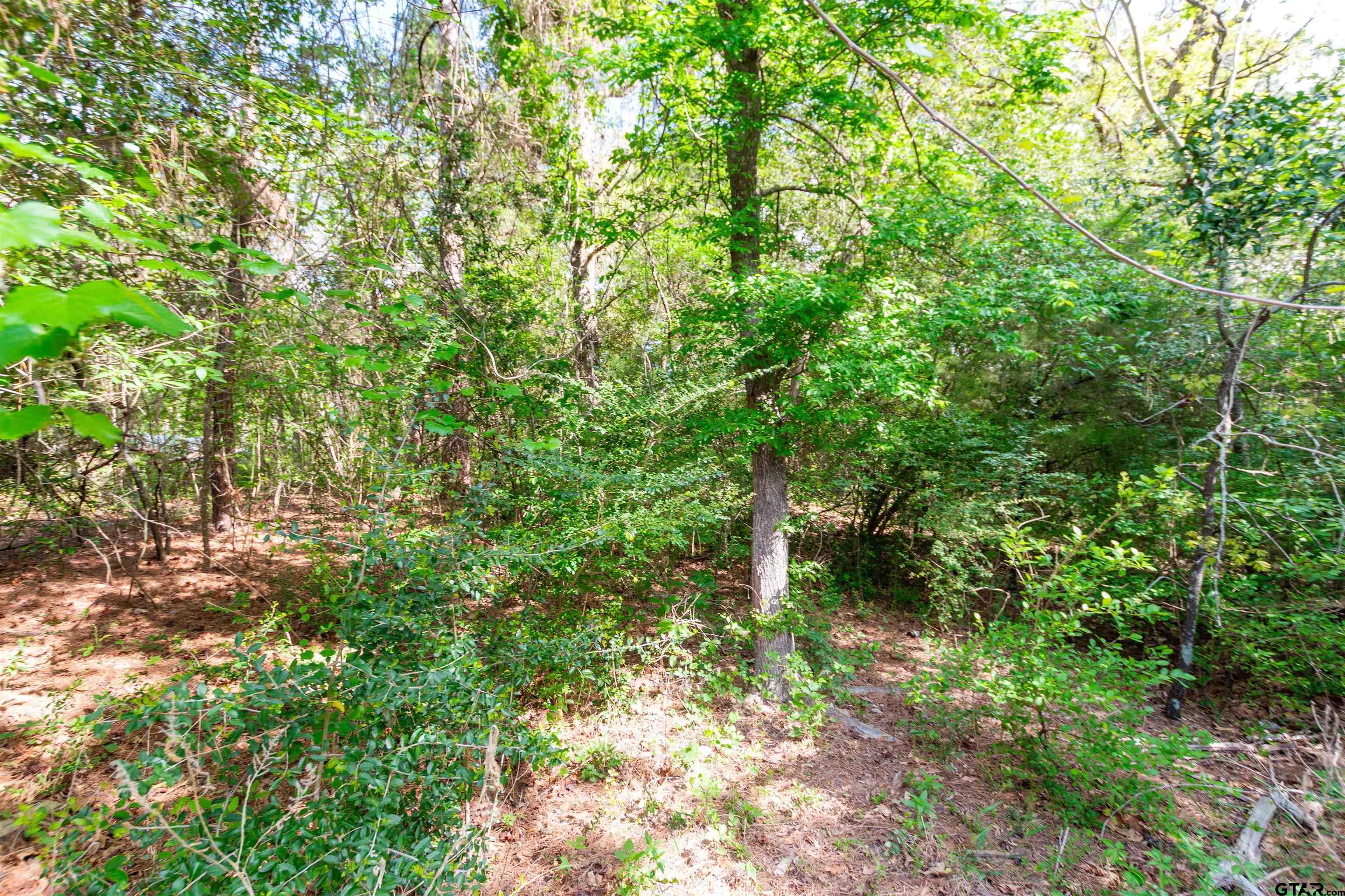 101 Westway Dr Property Photo 7