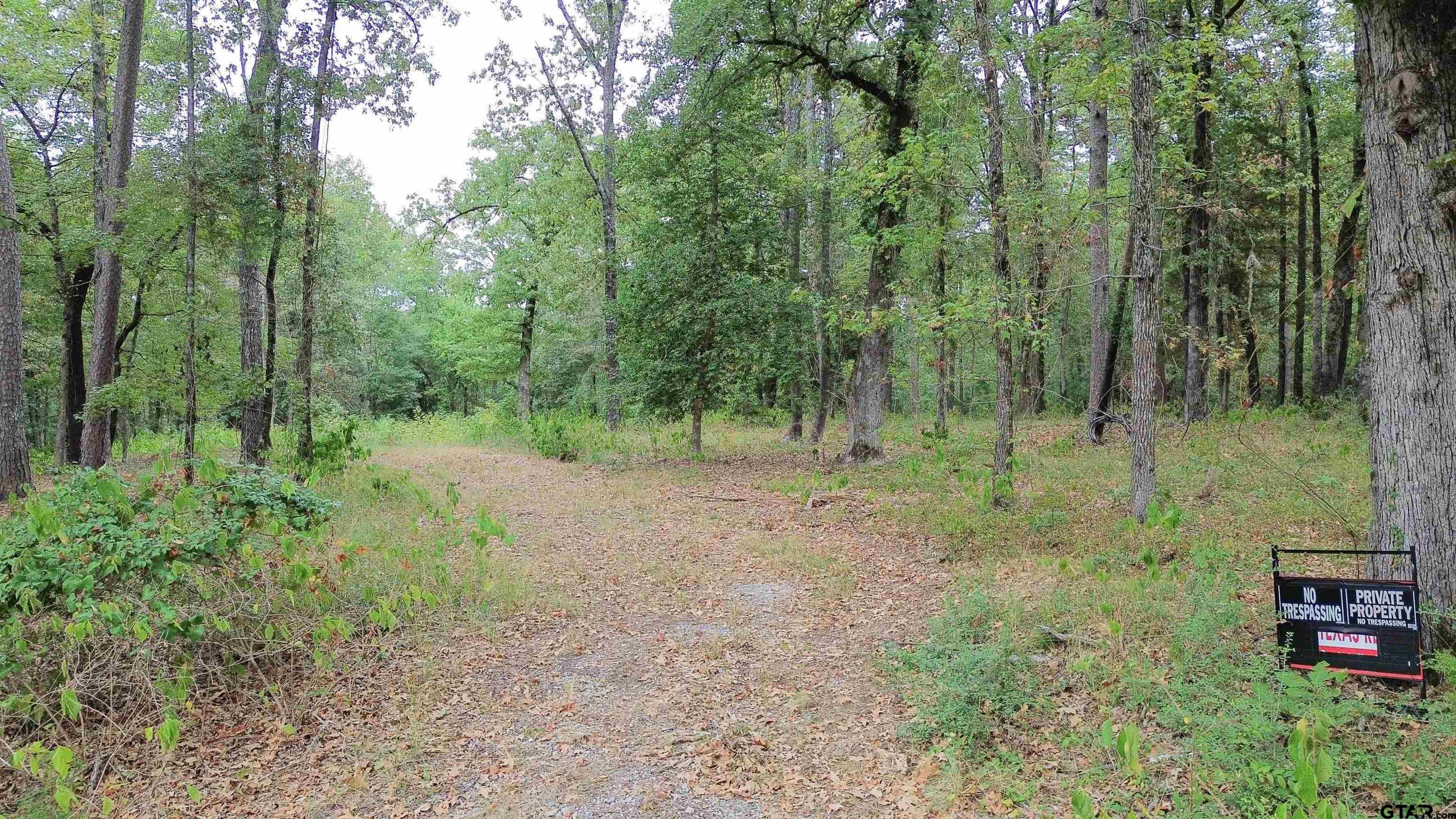 1688 Cr 1597 Property Photo 3