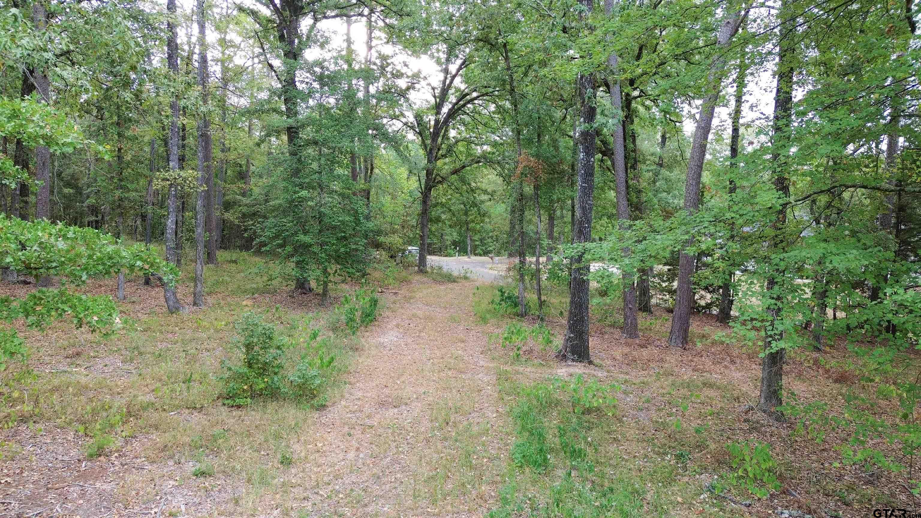 1688 Cr 1597 Property Photo 4