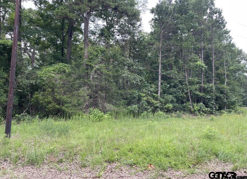 1688 Cr 1597 Property Photo 8