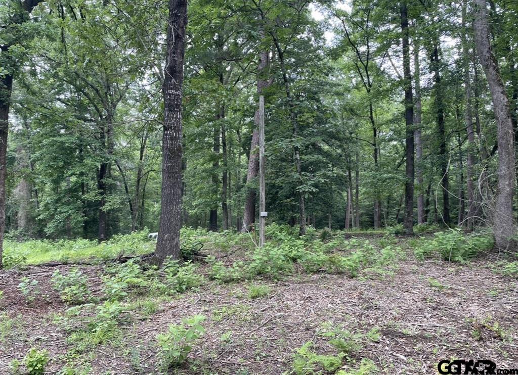 1688 Cr 1597 Property Photo 10